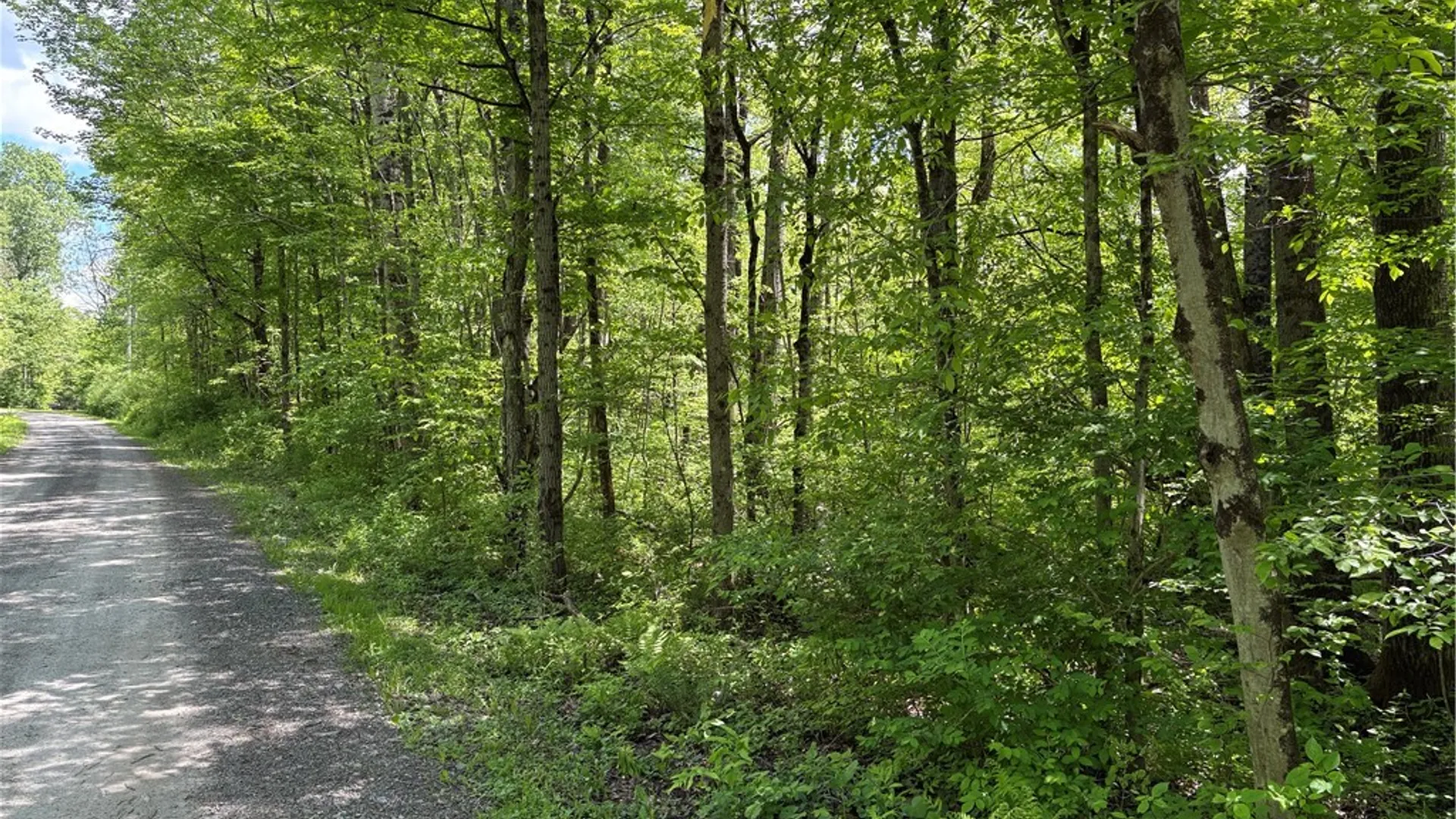 Property at Lot 3 Lake Lorraine Lane, Preston, NY 13815 3
