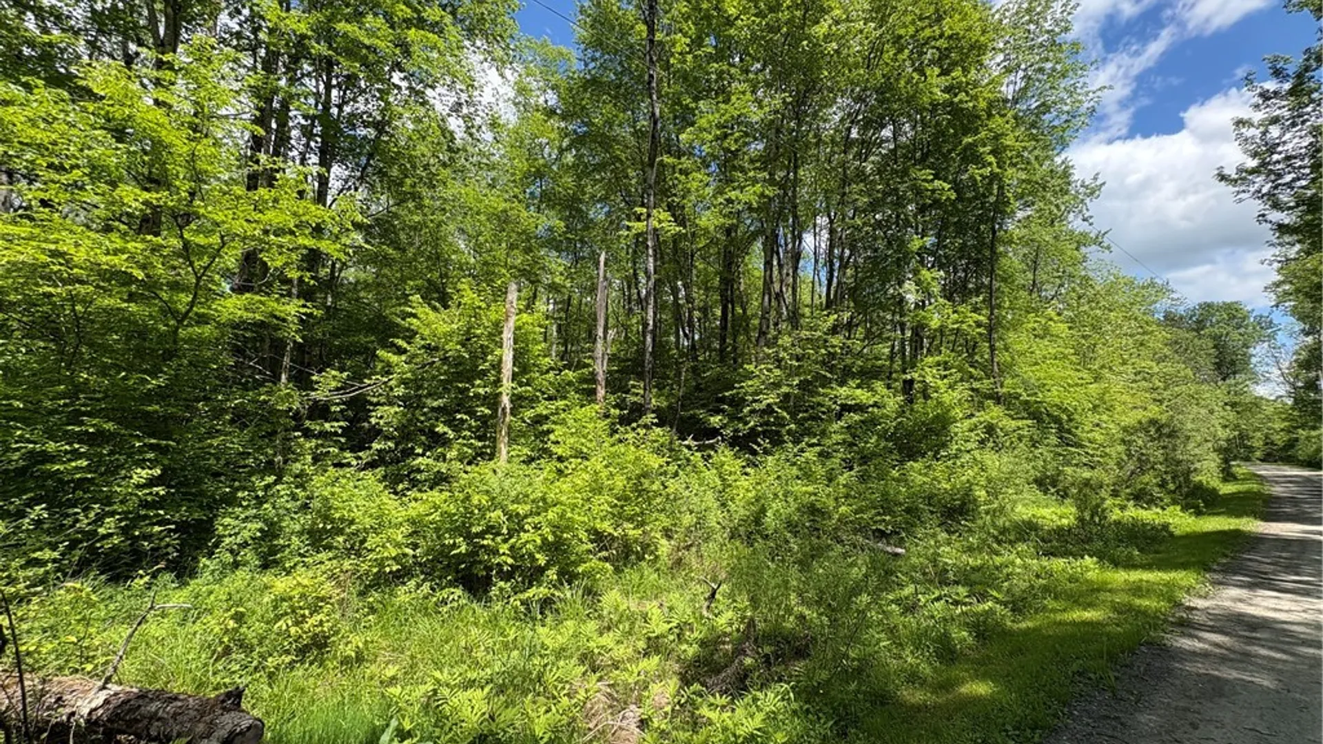 Property at Lot 3 Lake Lorraine Lane, Preston, NY 13815 4