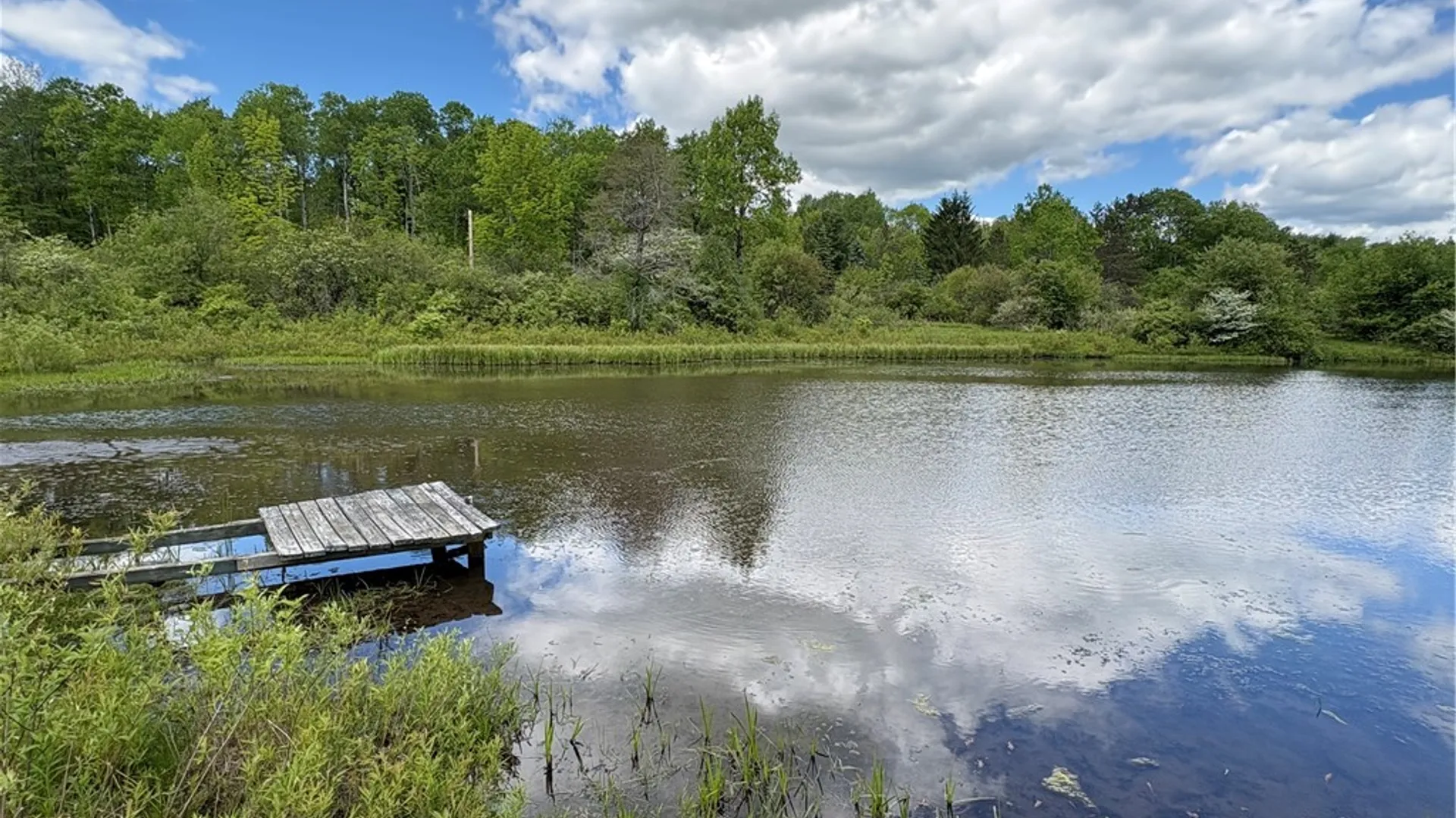 Property at Lot 3 Lake Lorraine Lane, Preston, NY 13815 9