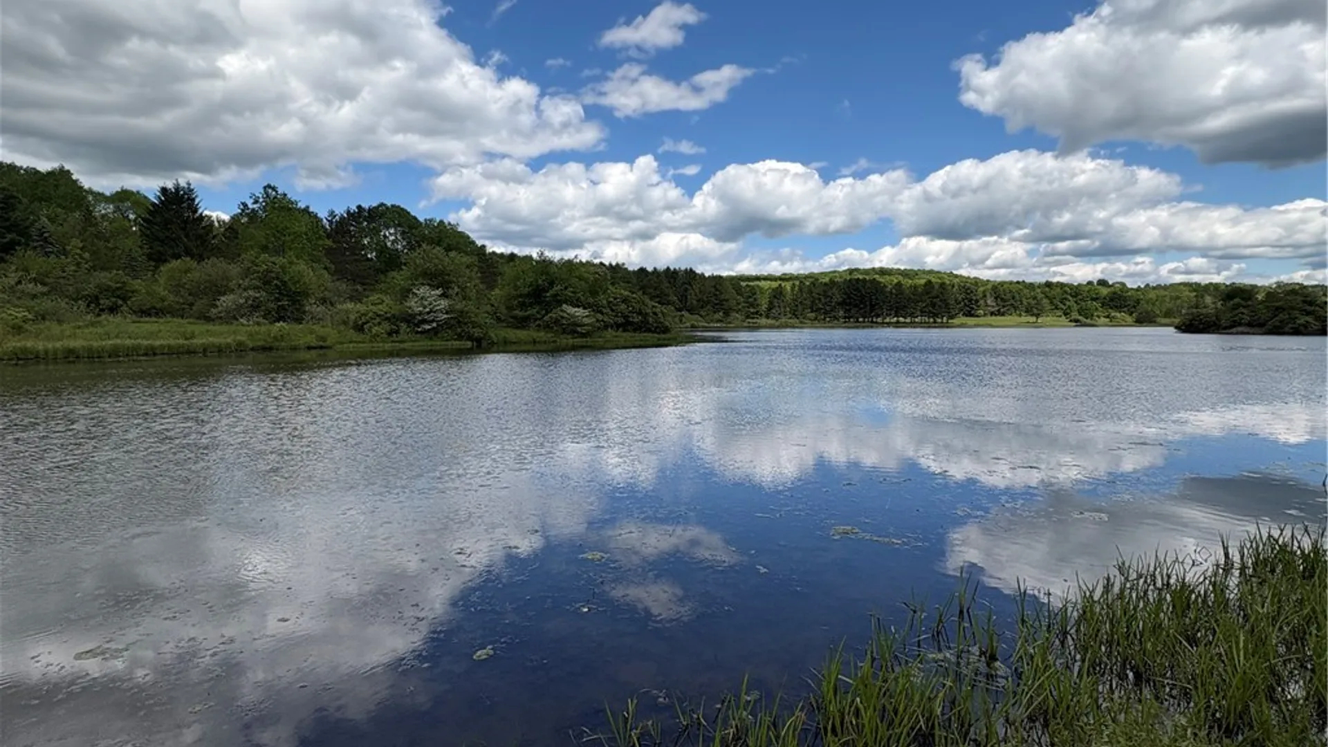 Property at Lot 3 Lake Lorraine Lane, Preston, NY 13815 22