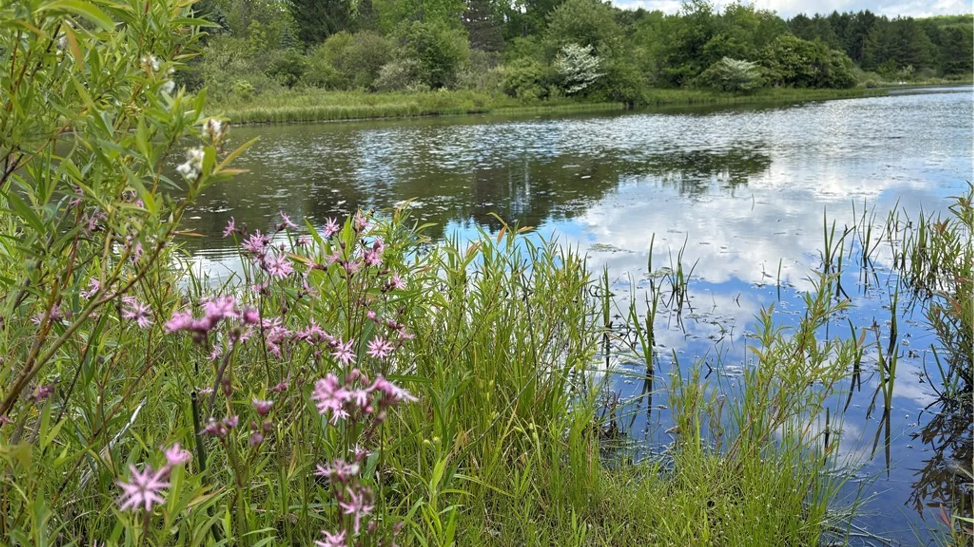 Property at Lot 3 Lake Lorraine Lane, Preston, NY 13815 8