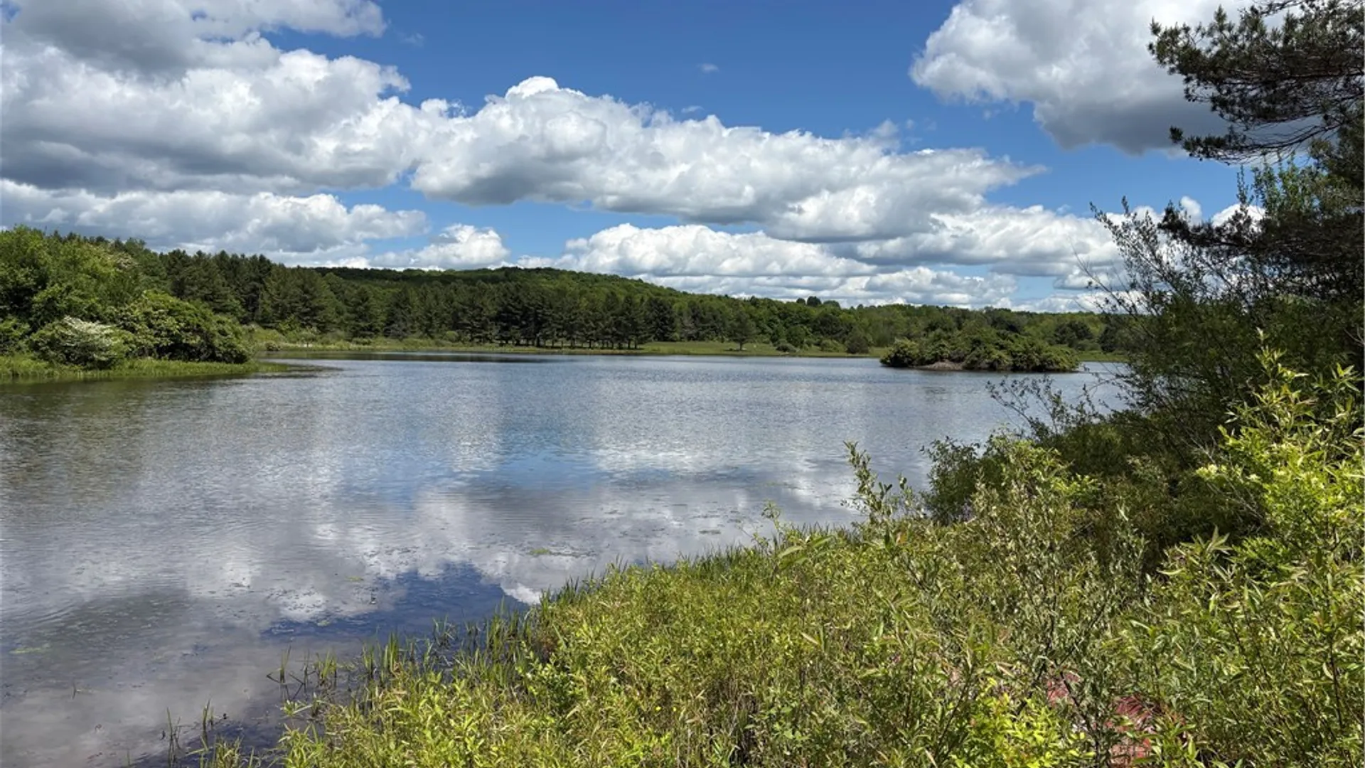 Property at Lot 3 Lake Lorraine Lane, Preston, NY 13815 5