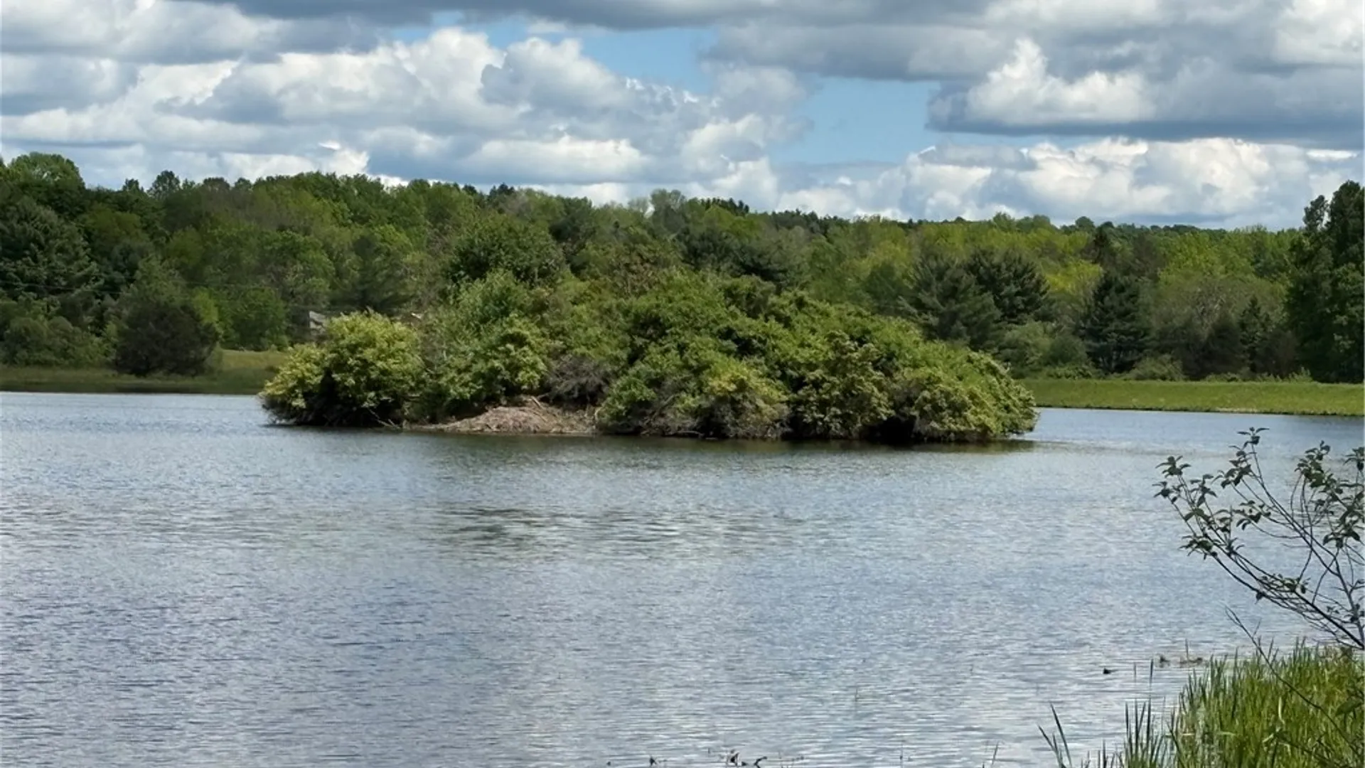 Property at Lot 3 Lake Lorraine Lane, Preston, NY 13815 10