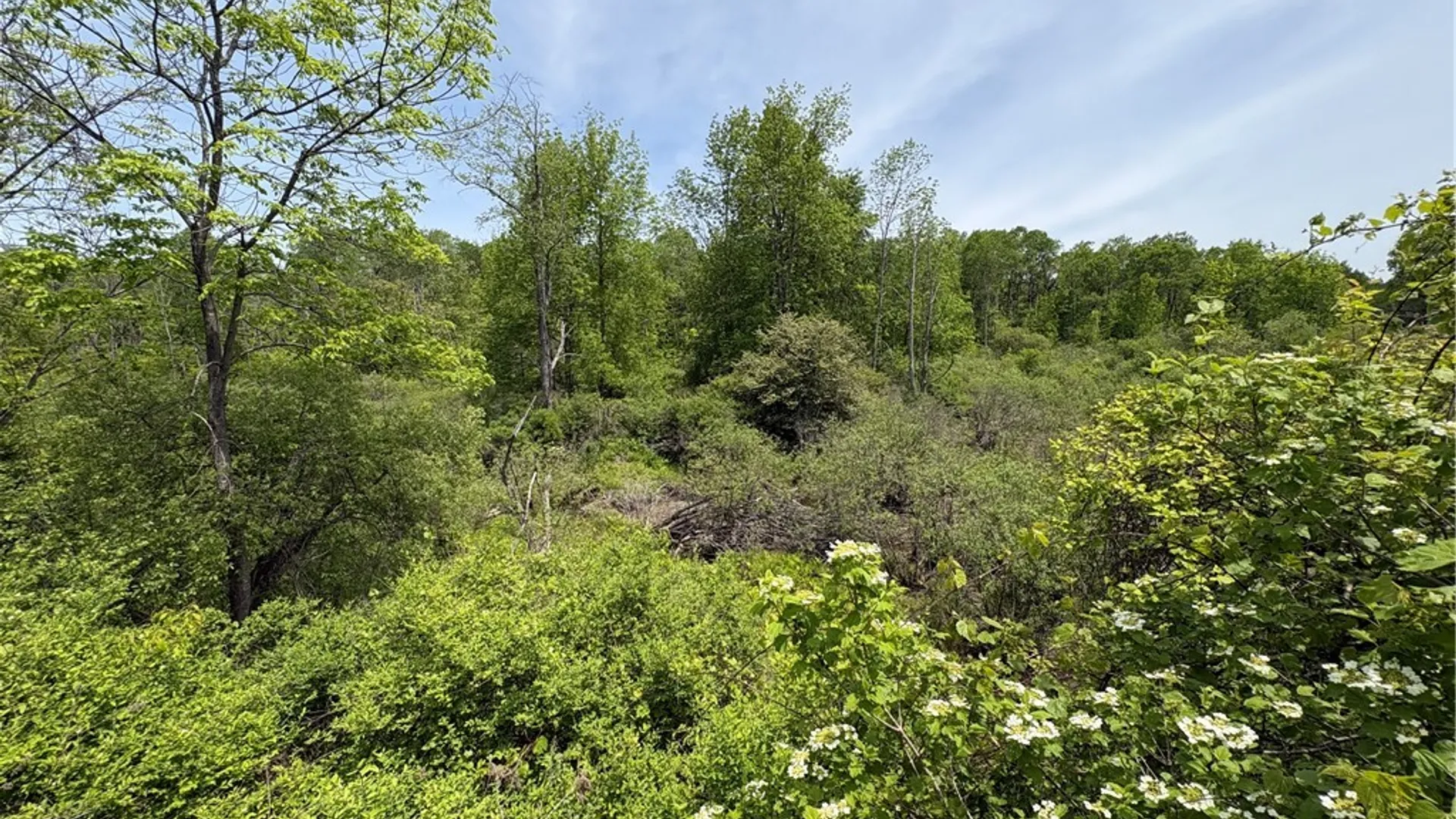 Property at Lot 3 Lake Lorraine Lane, Preston, NY 13815 13
