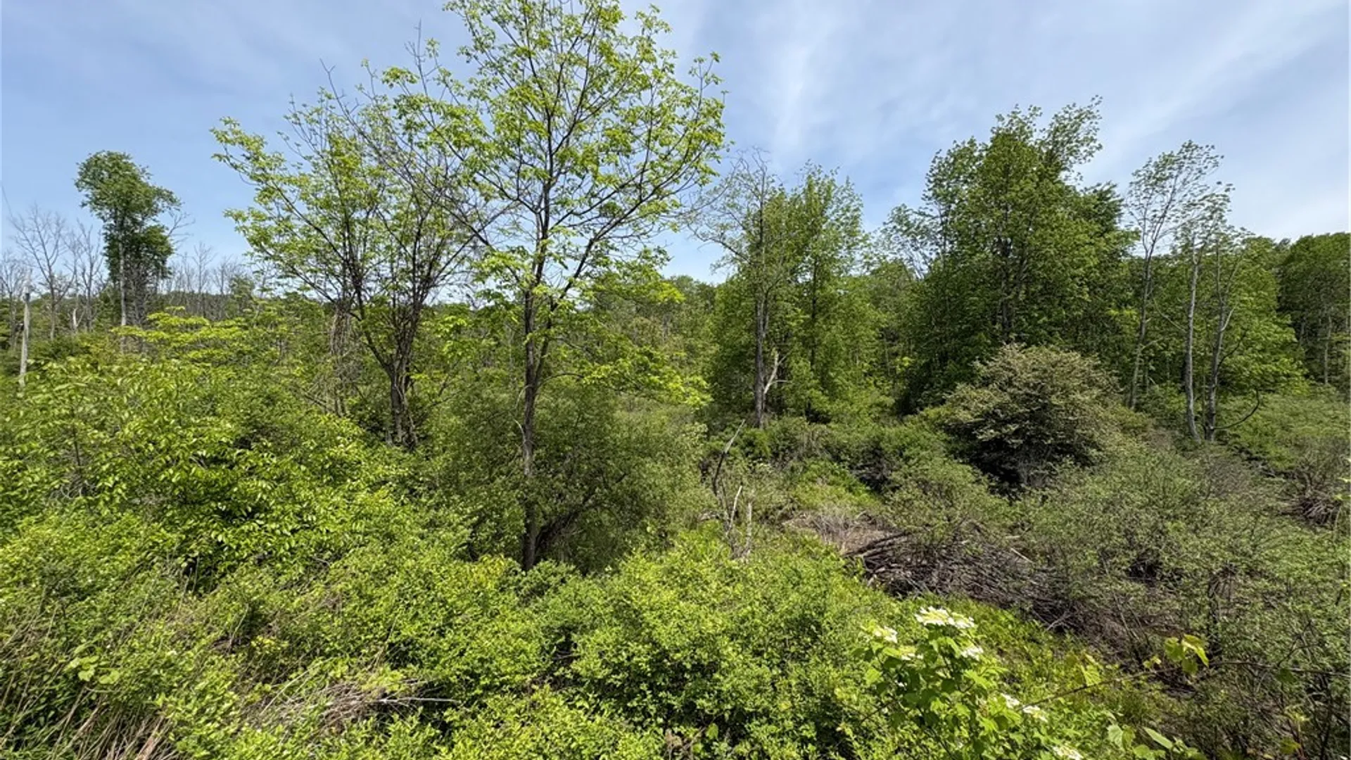 Property at Lot 3 Lake Lorraine Lane, Preston, NY 13815 18