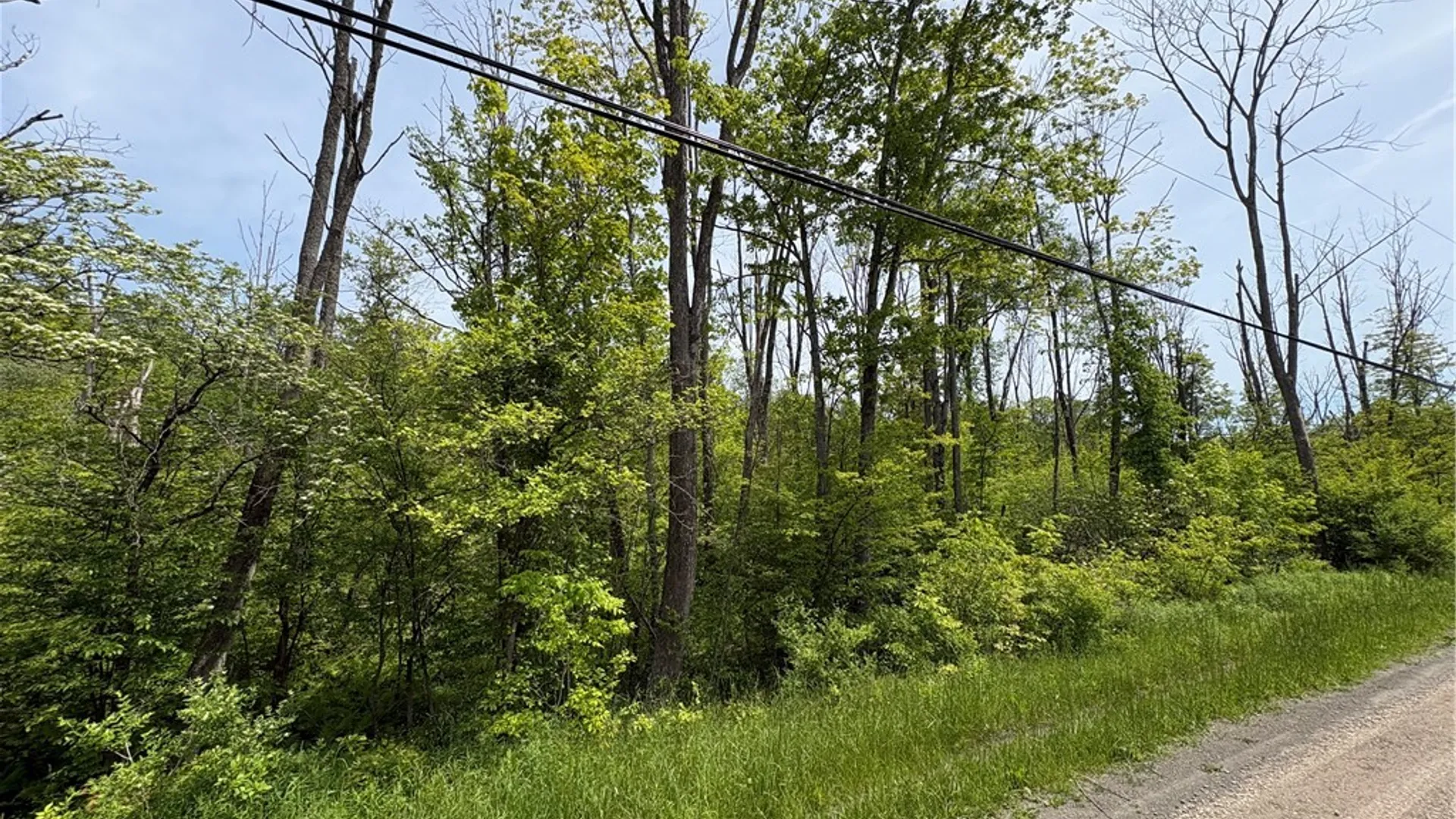 Property at Lot 3 Lake Lorraine Lane, Preston, NY 13815 21
