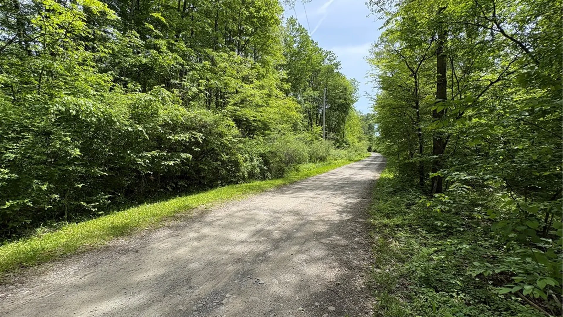 Property at Lot 3 Lake Lorraine Lane, Preston, NY 13815 23