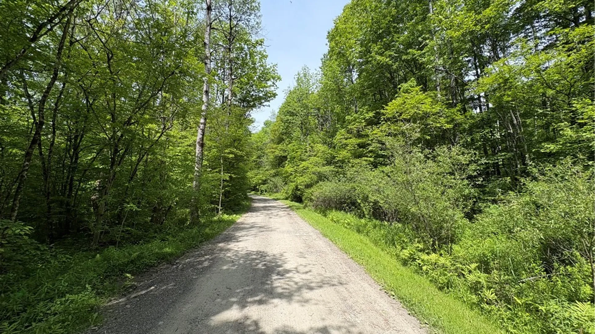 Property at Lot 3 Lake Lorraine Lane, Preston, NY 13815 29