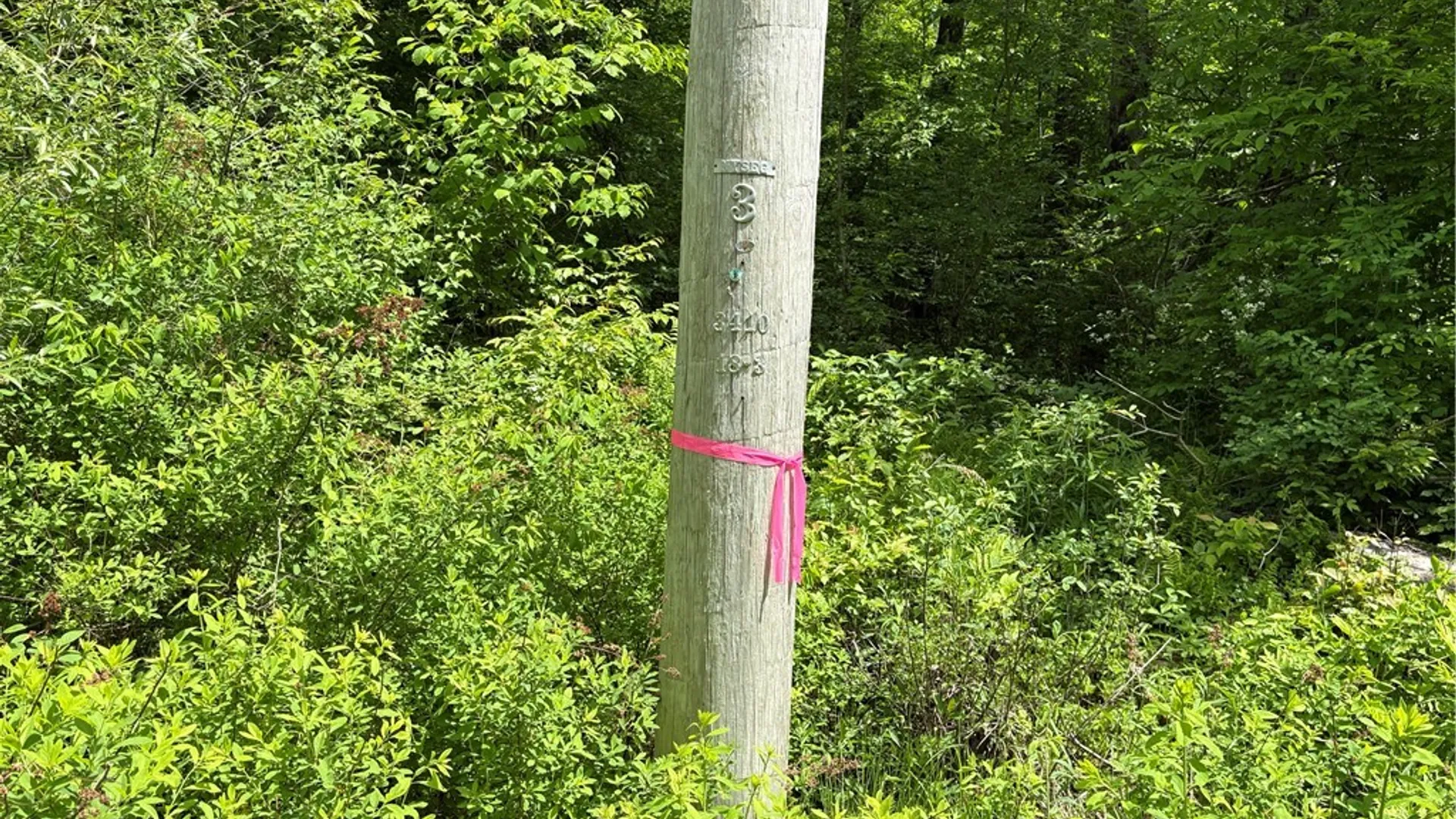 Property at Lot 3 Lake Lorraine Lane, Preston, NY 13815 31