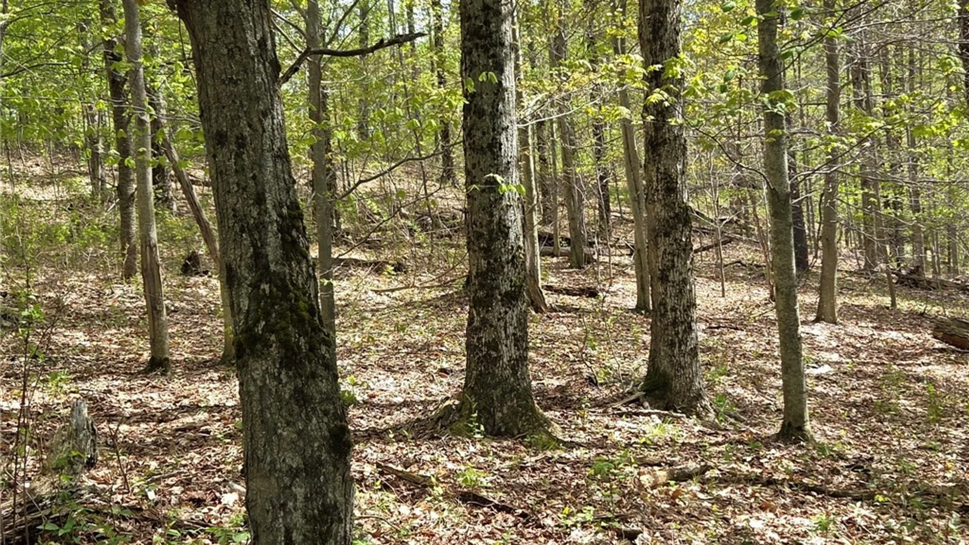 Property at Skaneateles Tpke, Brookfield, NY 13355 24