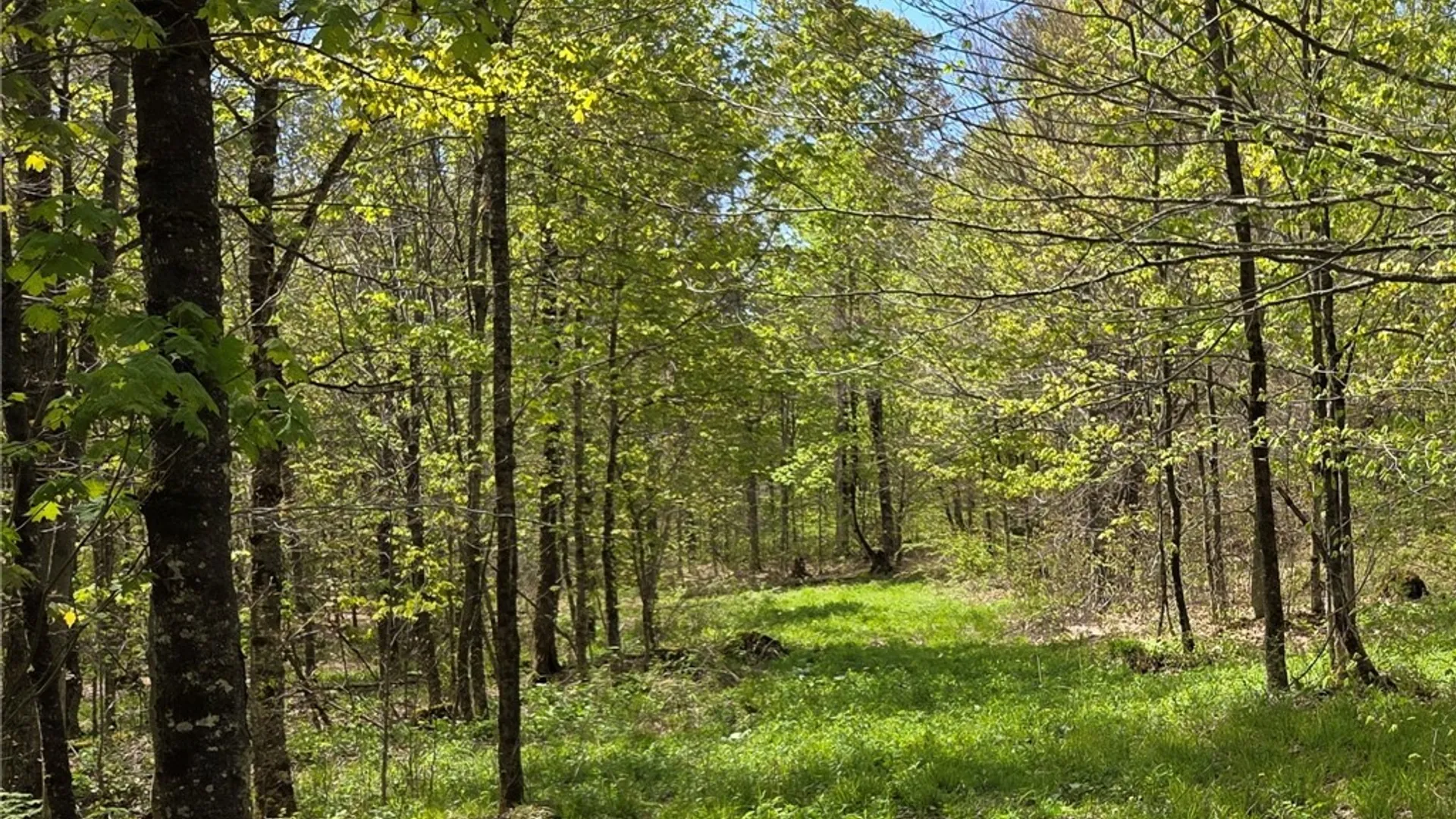 Property at Skaneateles Tpke, Brookfield, NY 13355 26