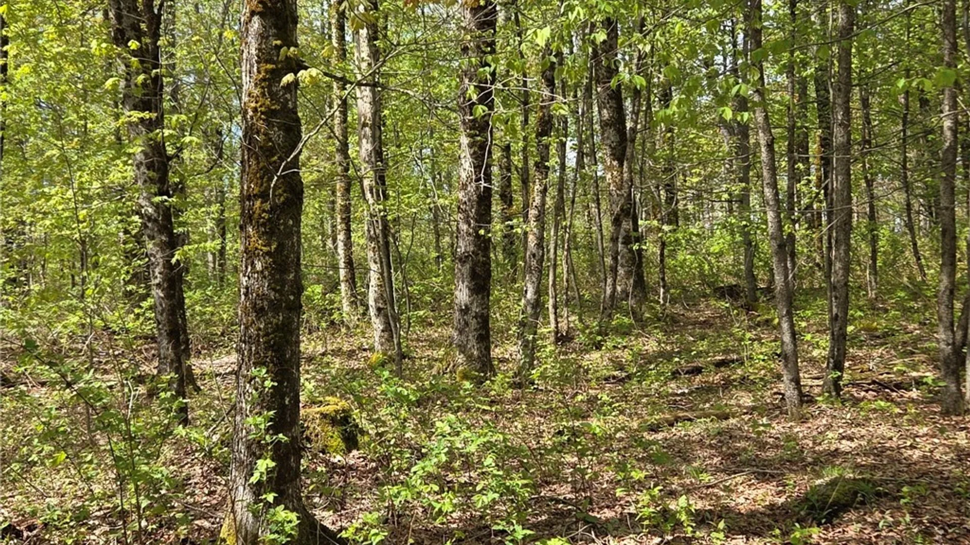 Property at Skaneateles Tpke, Brookfield, NY 13355 27