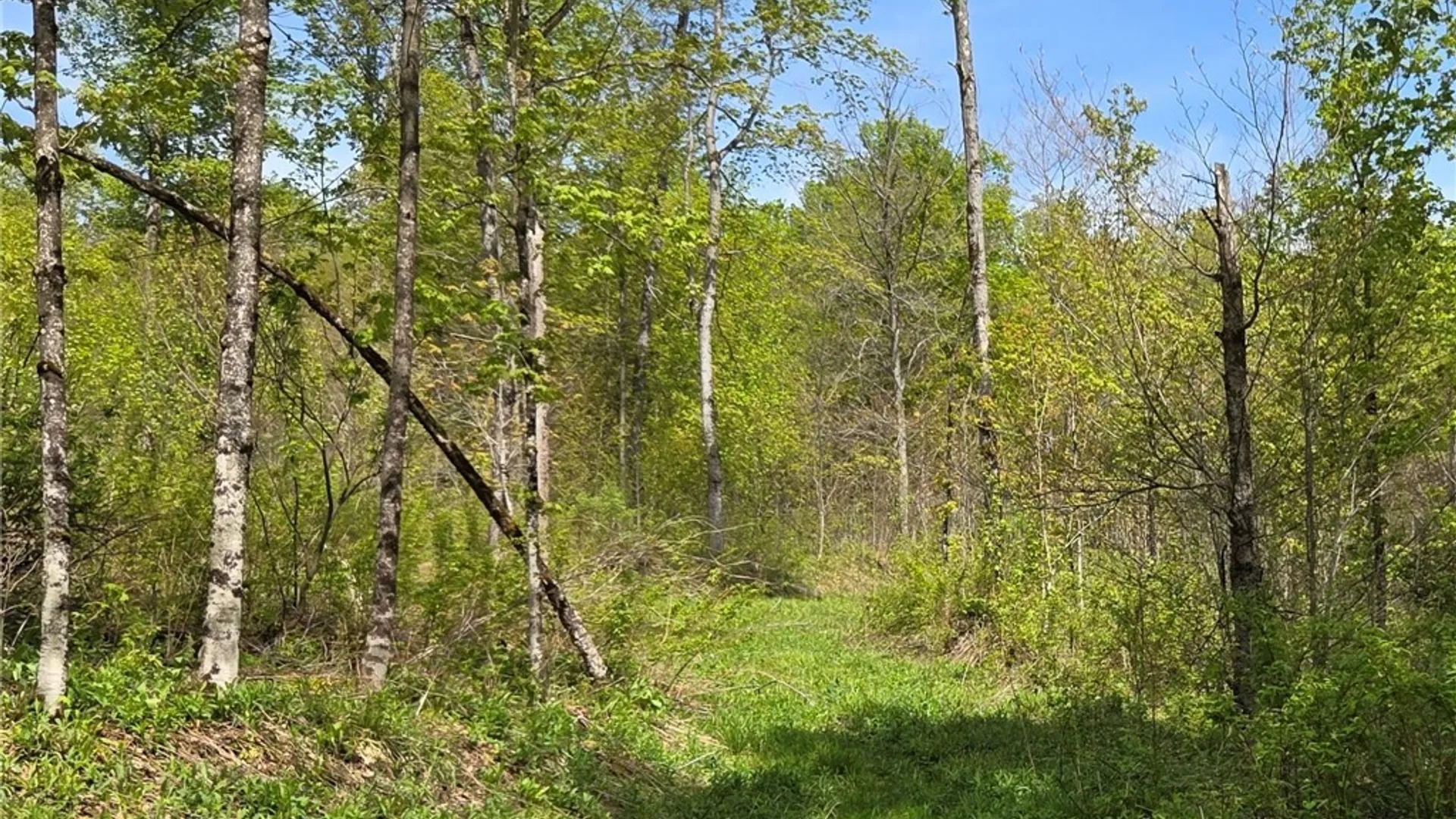 Property at Skaneateles Tpke, Brookfield, NY 13355 30