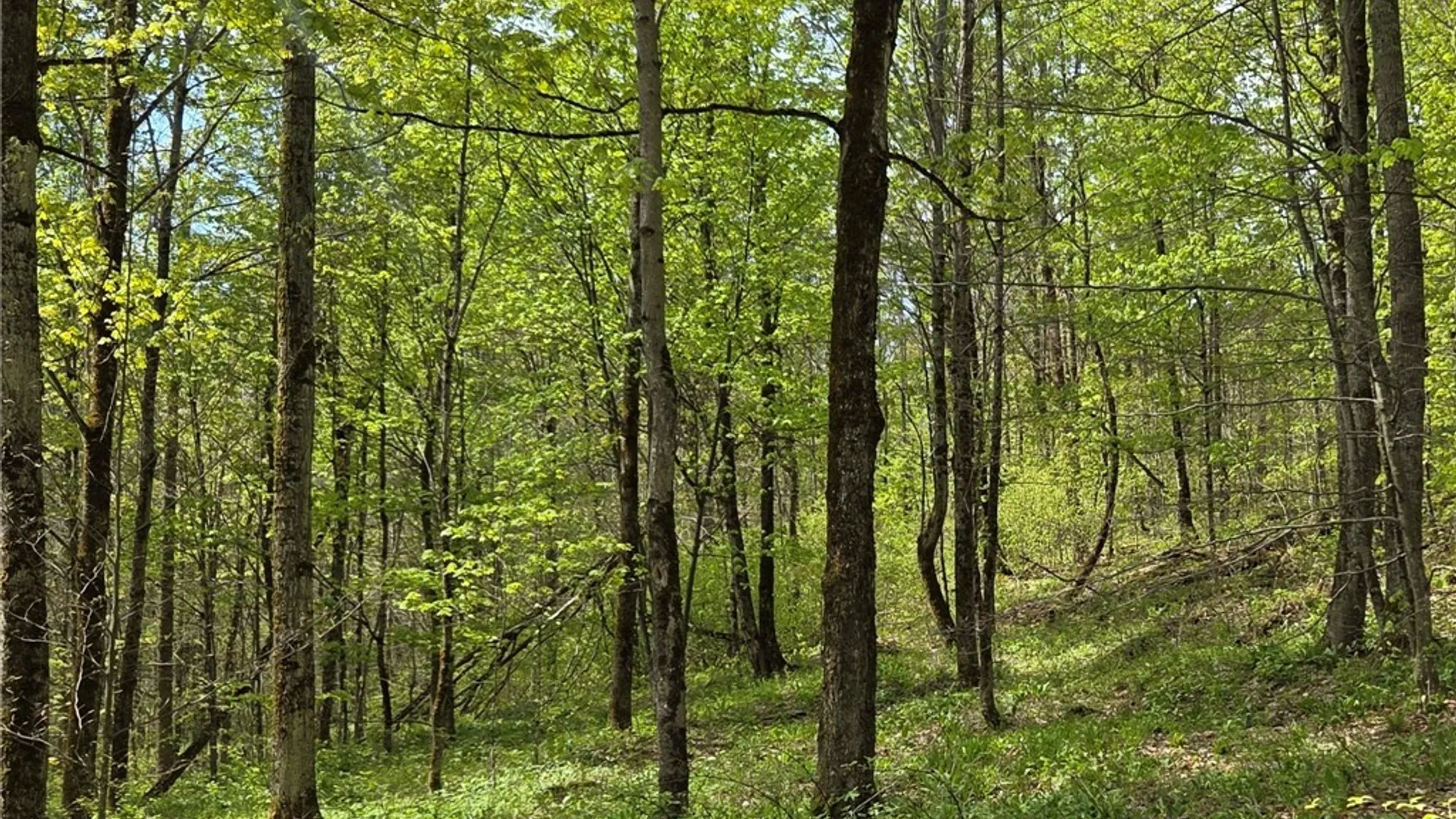 Property at Skaneateles Tpke, Brookfield, NY 13355 32