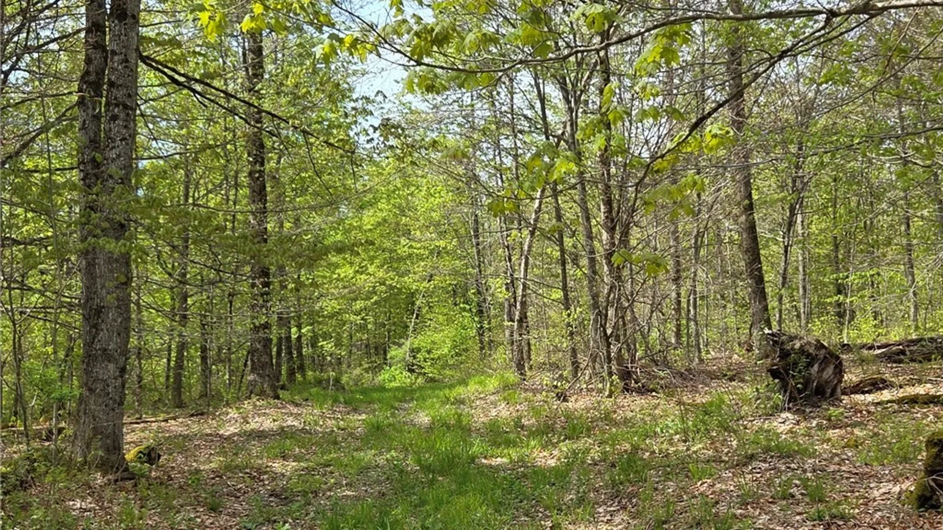 Property at Skaneateles Tpke, Brookfield, NY 13355 34