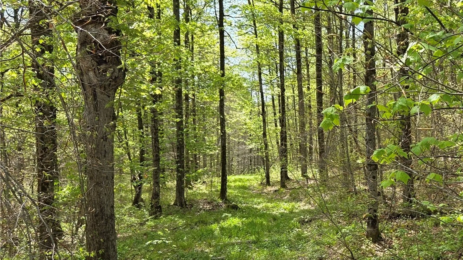 Property at Skaneateles Tpke, Brookfield, NY 13355 35