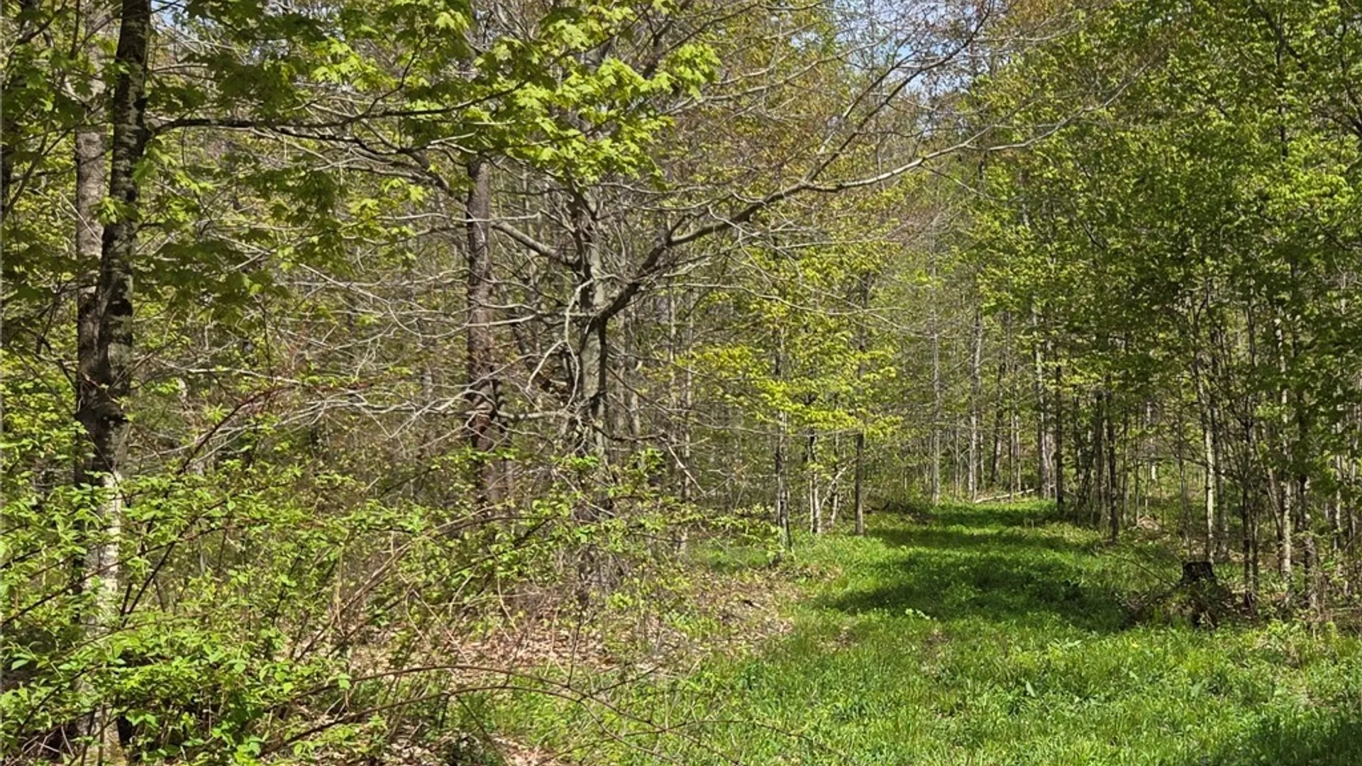 Property at Skaneateles Tpke, Brookfield, NY 13355 38