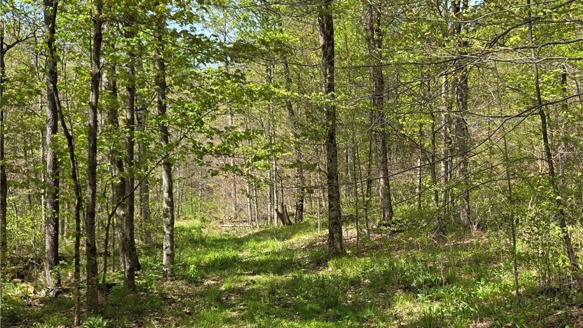 Property at Skaneateles Tpke, Brookfield, NY 13355 39