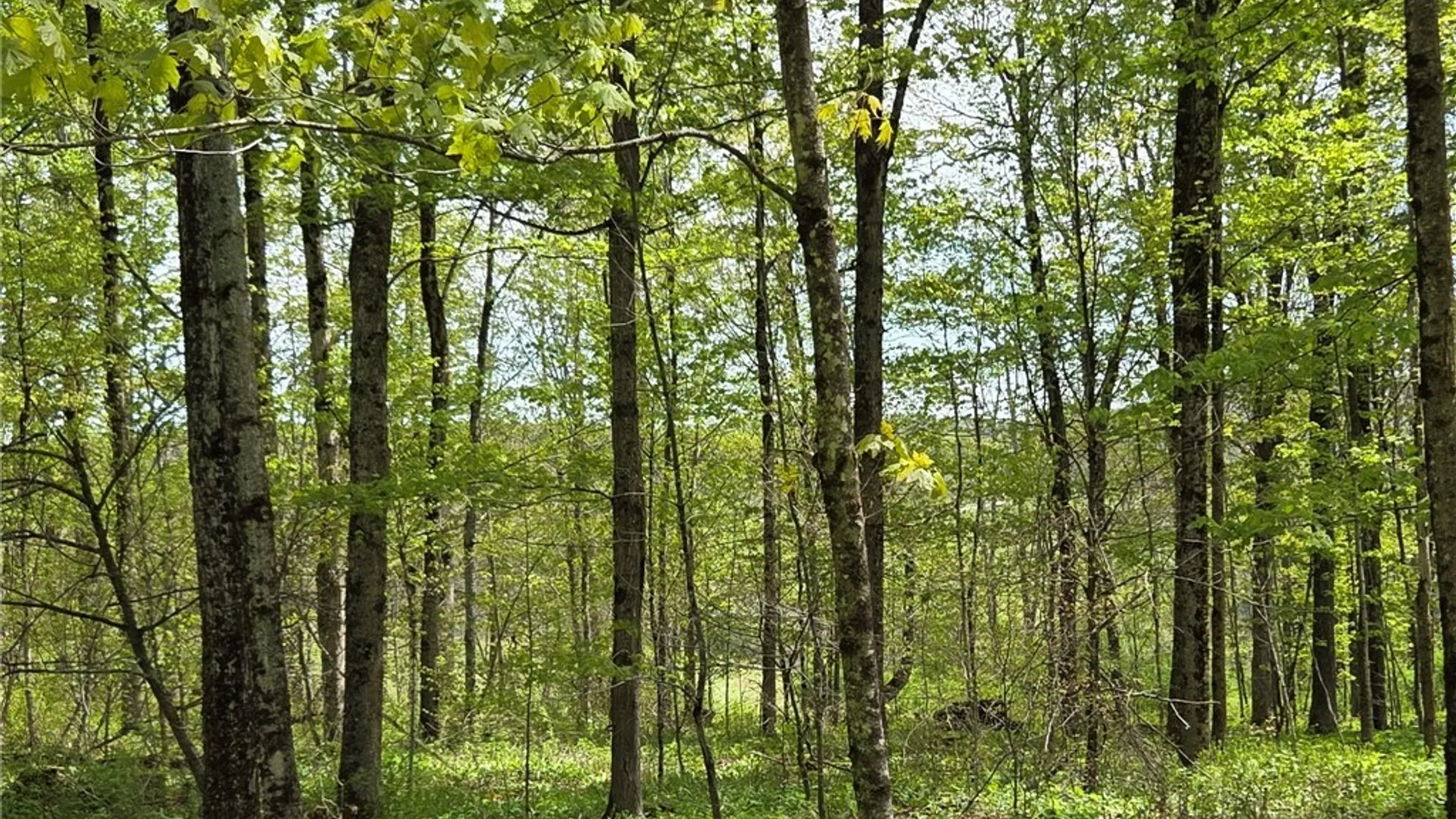 Property at Skaneateles Tpke, Brookfield, NY 13355 40