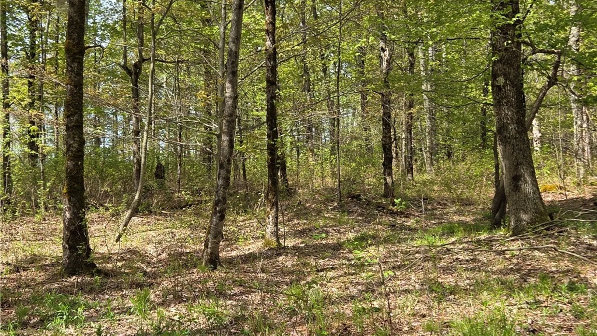 Property at Skaneateles Tpke, Brookfield, NY 13355 42