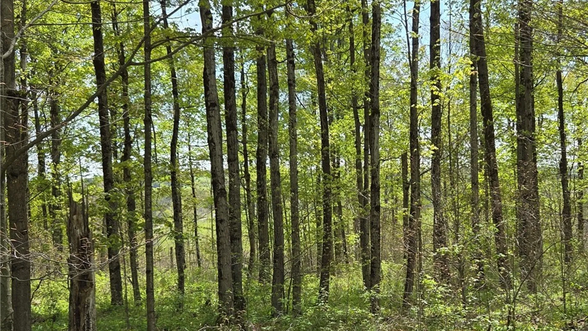 Property at Skaneateles Tpke, Brookfield, NY 13355 44