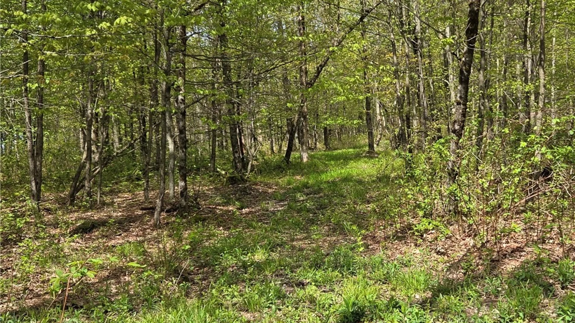 Property at Skaneateles Tpke, Brookfield, NY 13355 45