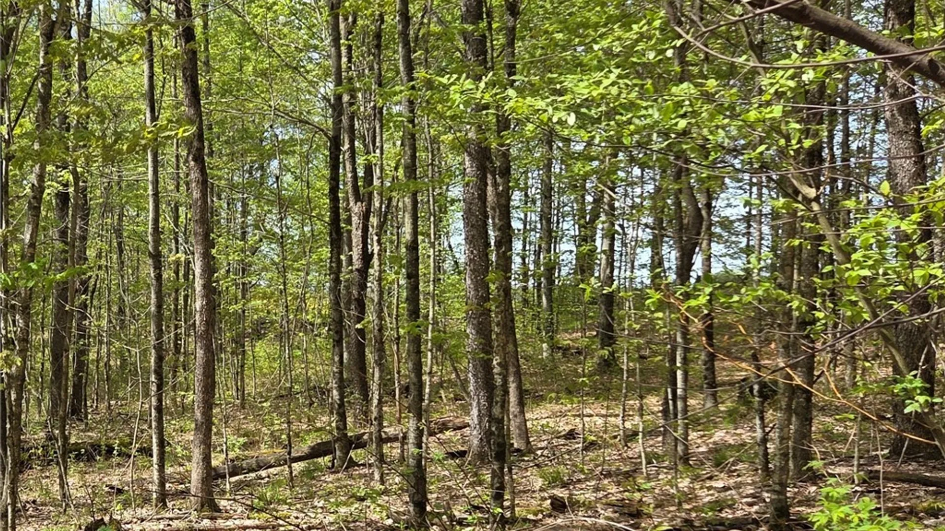 Property at Skaneateles Tpke, Brookfield, NY 13355 46
