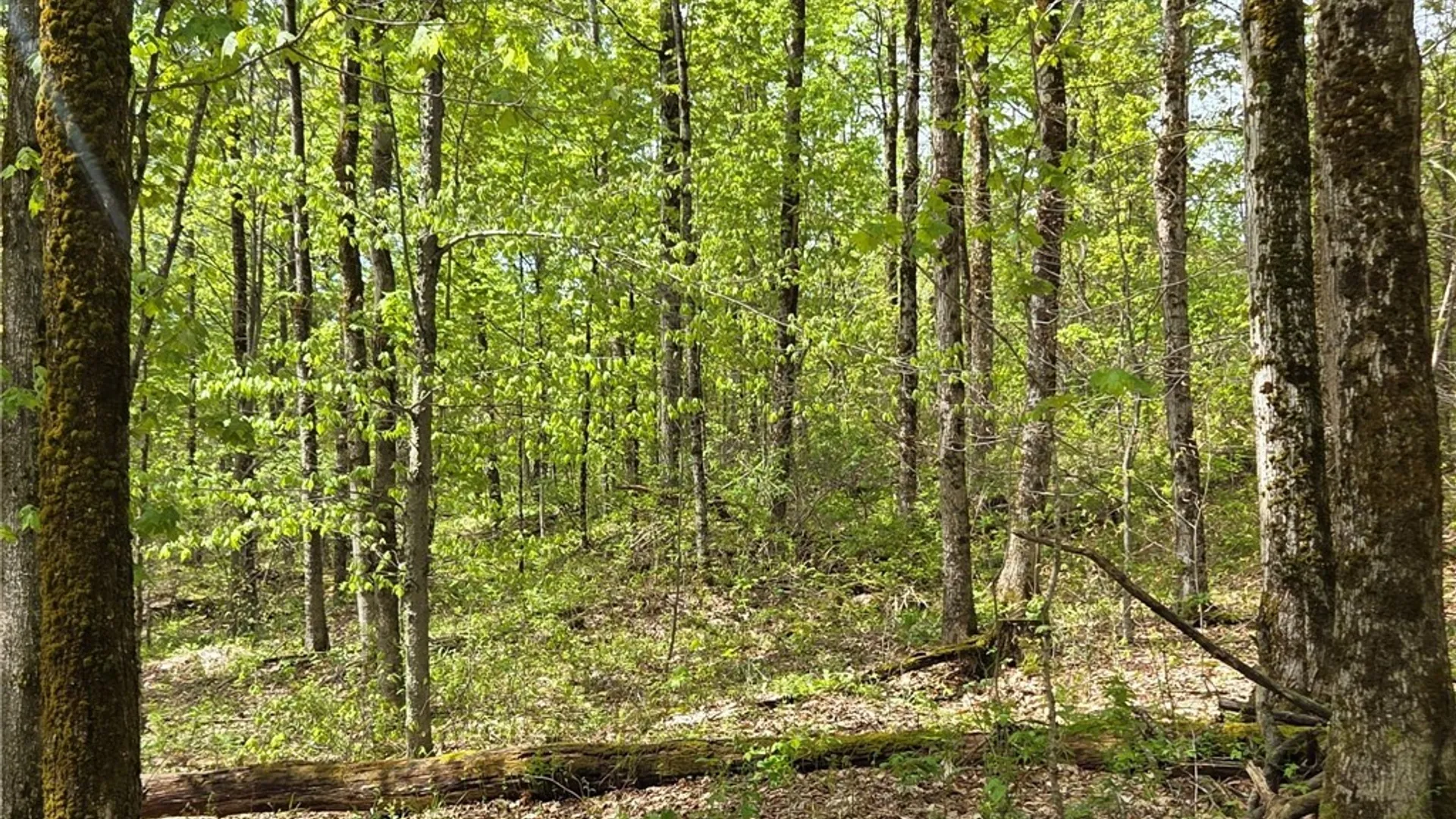 Property at Skaneateles Tpke, Brookfield, NY 13355 47