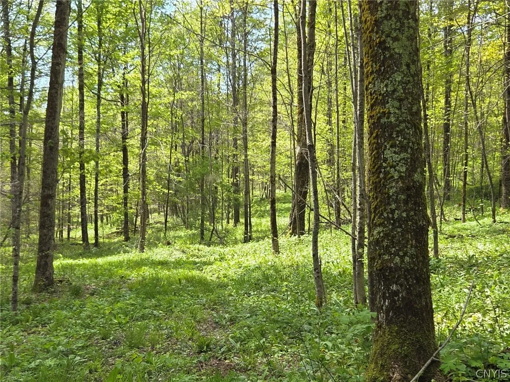 Property at Skaneateles Tpke, Brookfield, NY 13355