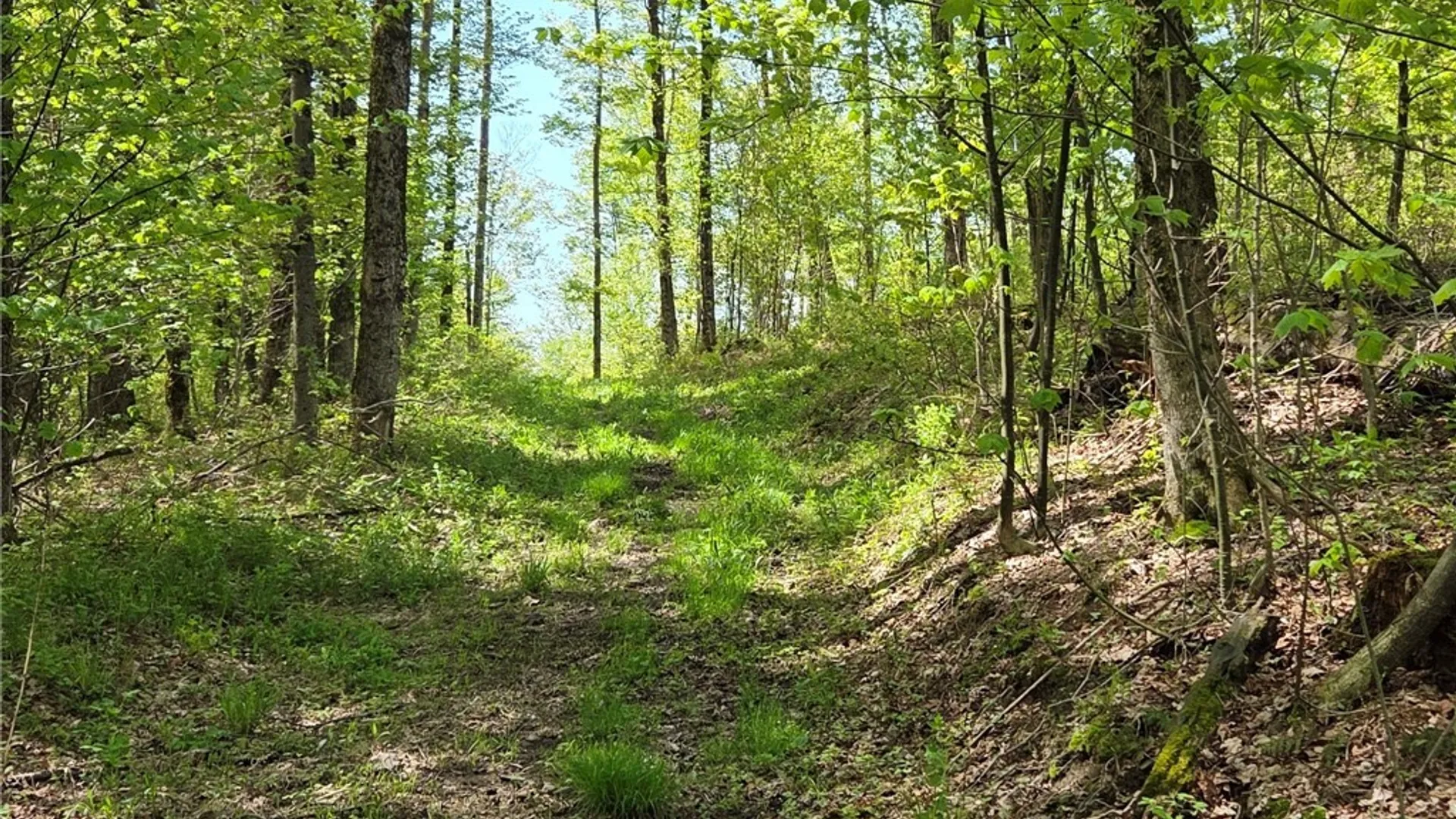 Property at Skaneateles Tpke, Brookfield, NY 13355 8