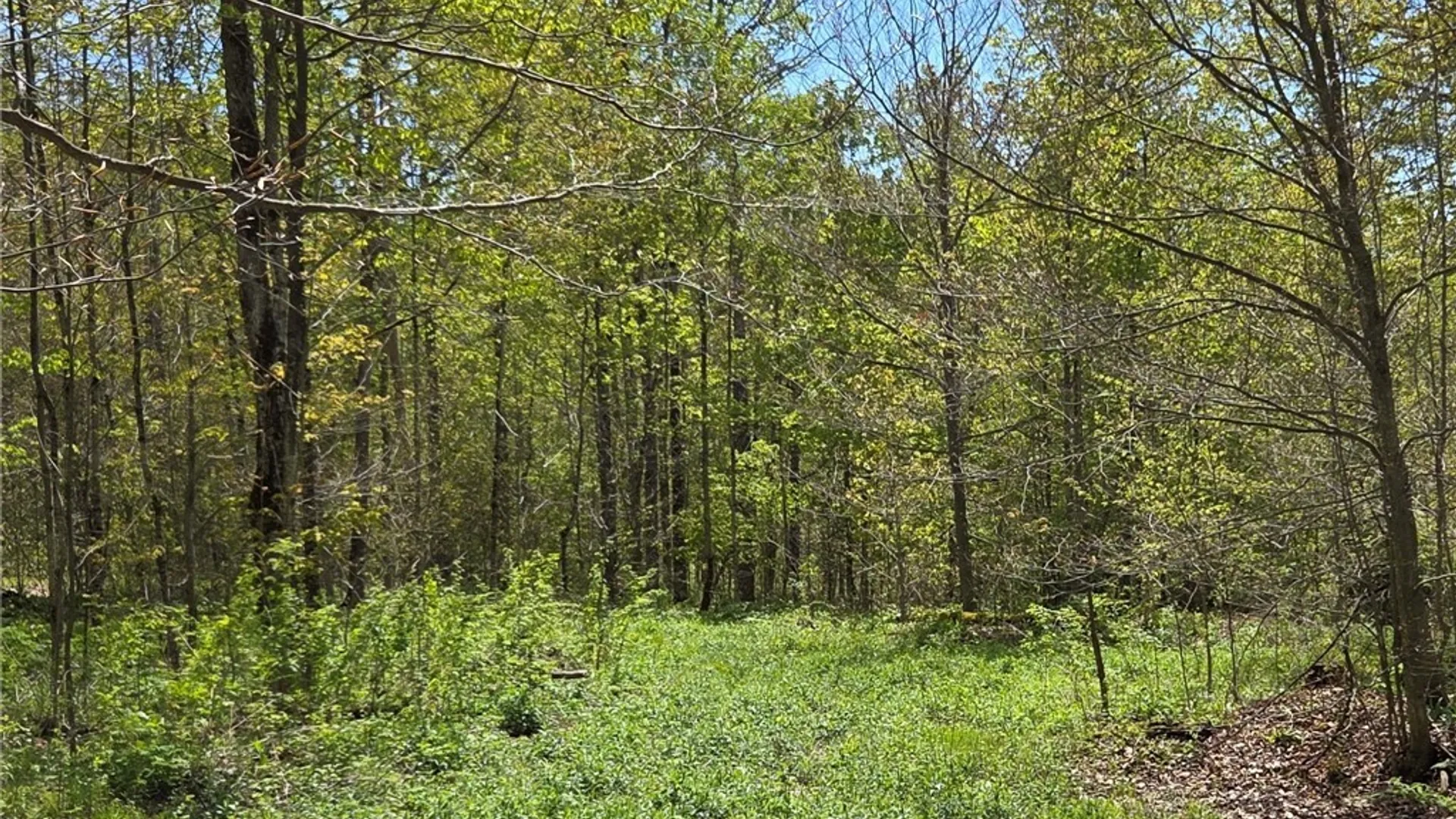 Property at Skaneateles Tpke, Brookfield, NY 13355 11