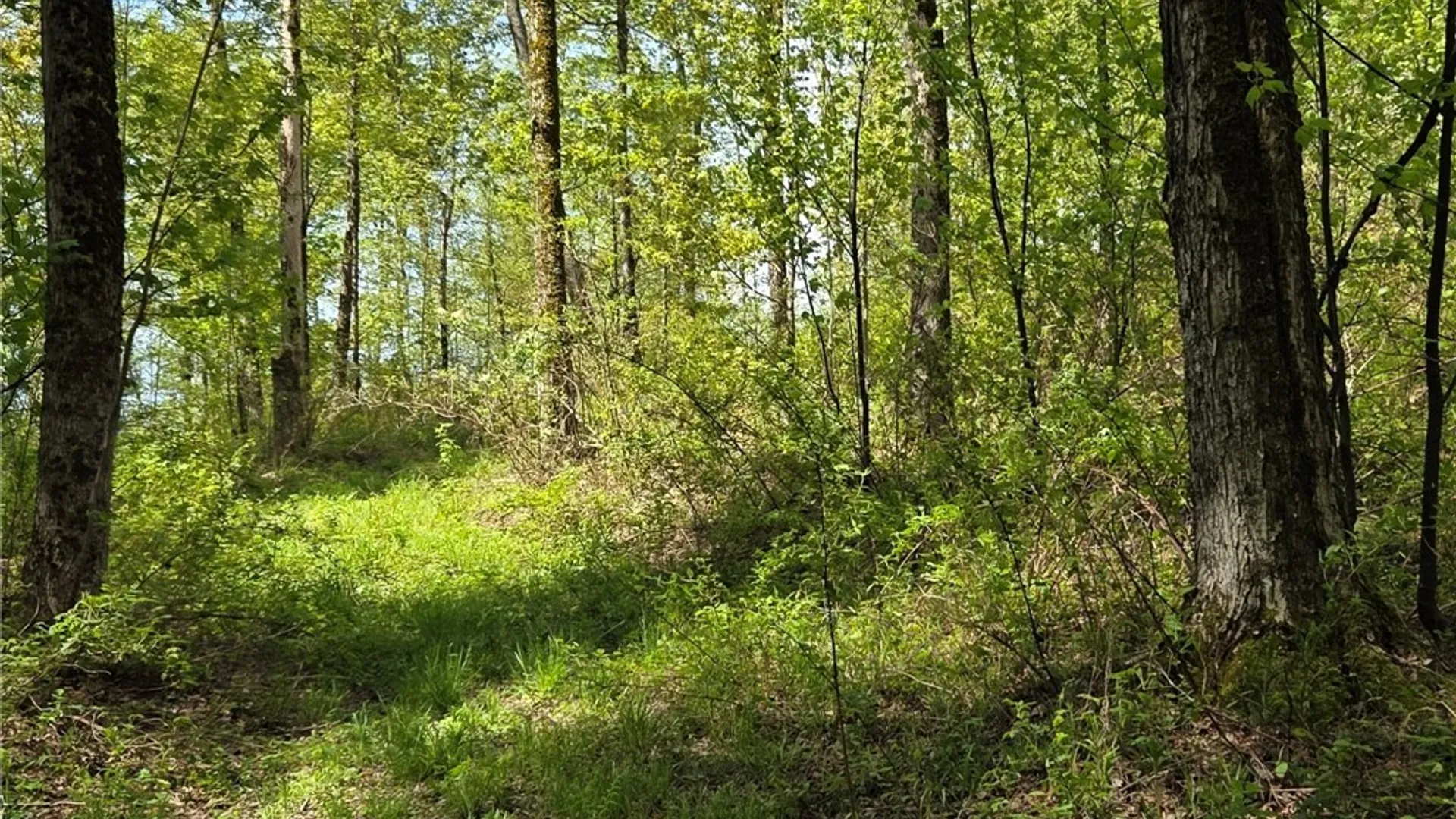 Property at Skaneateles Tpke, Brookfield, NY 13355 13