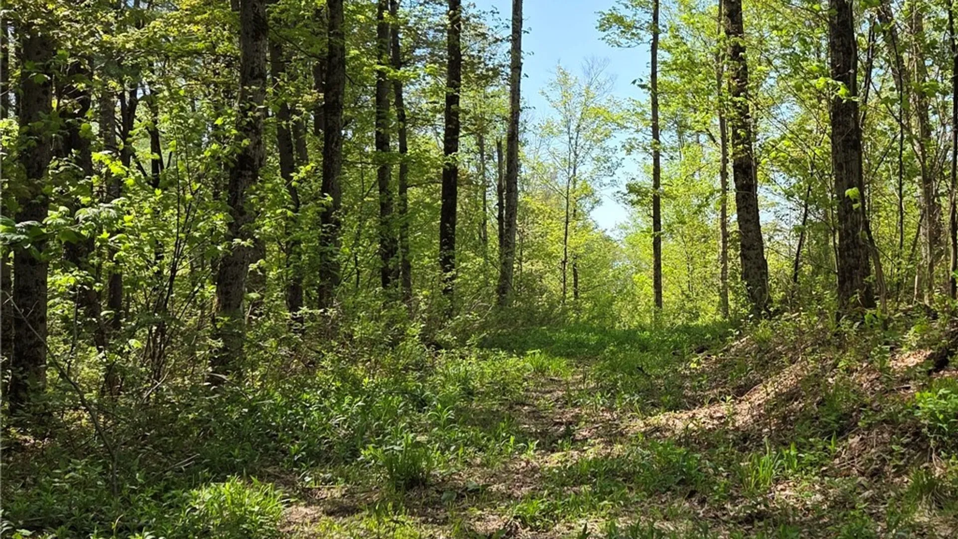 Property at Skaneateles Tpke, Brookfield, NY 13355 17