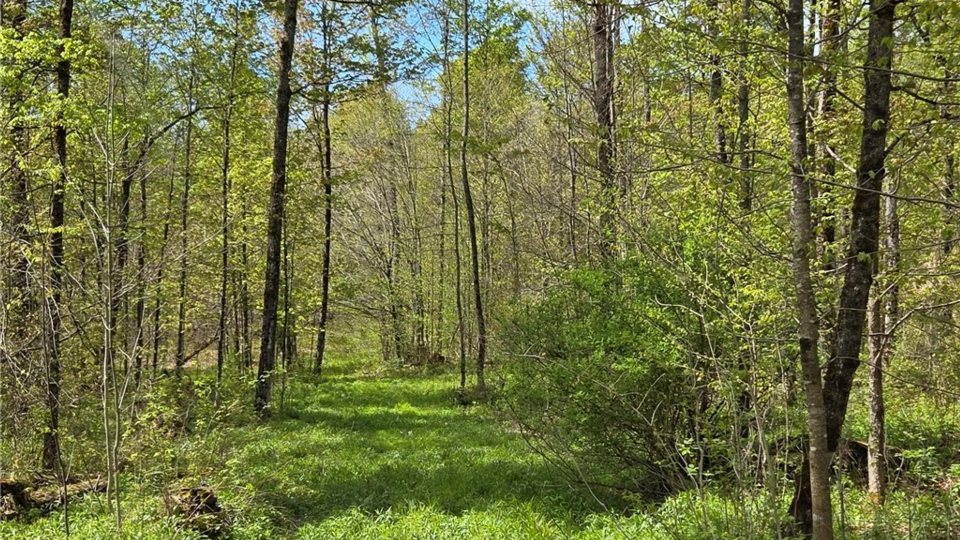 Property at Skaneateles Tpke, Brookfield, NY 13355 18