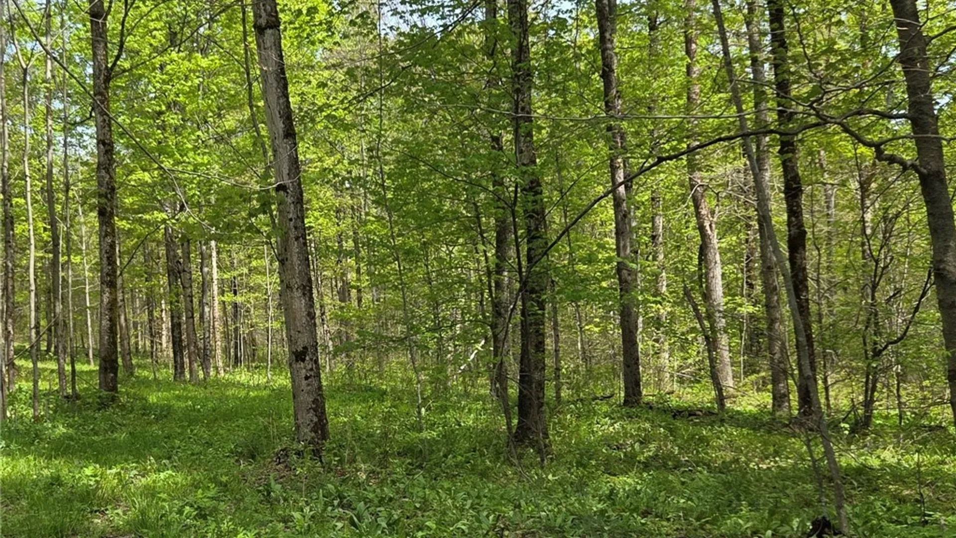 Property at Skaneateles Tpke, Brookfield, NY 13355 20
