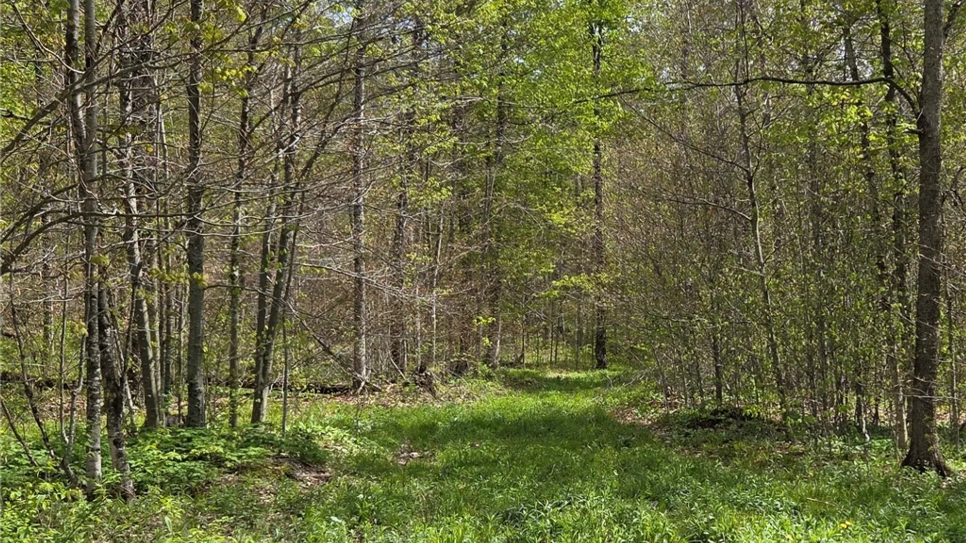 Property at Skaneateles Tpke, Brookfield, NY 13355 21