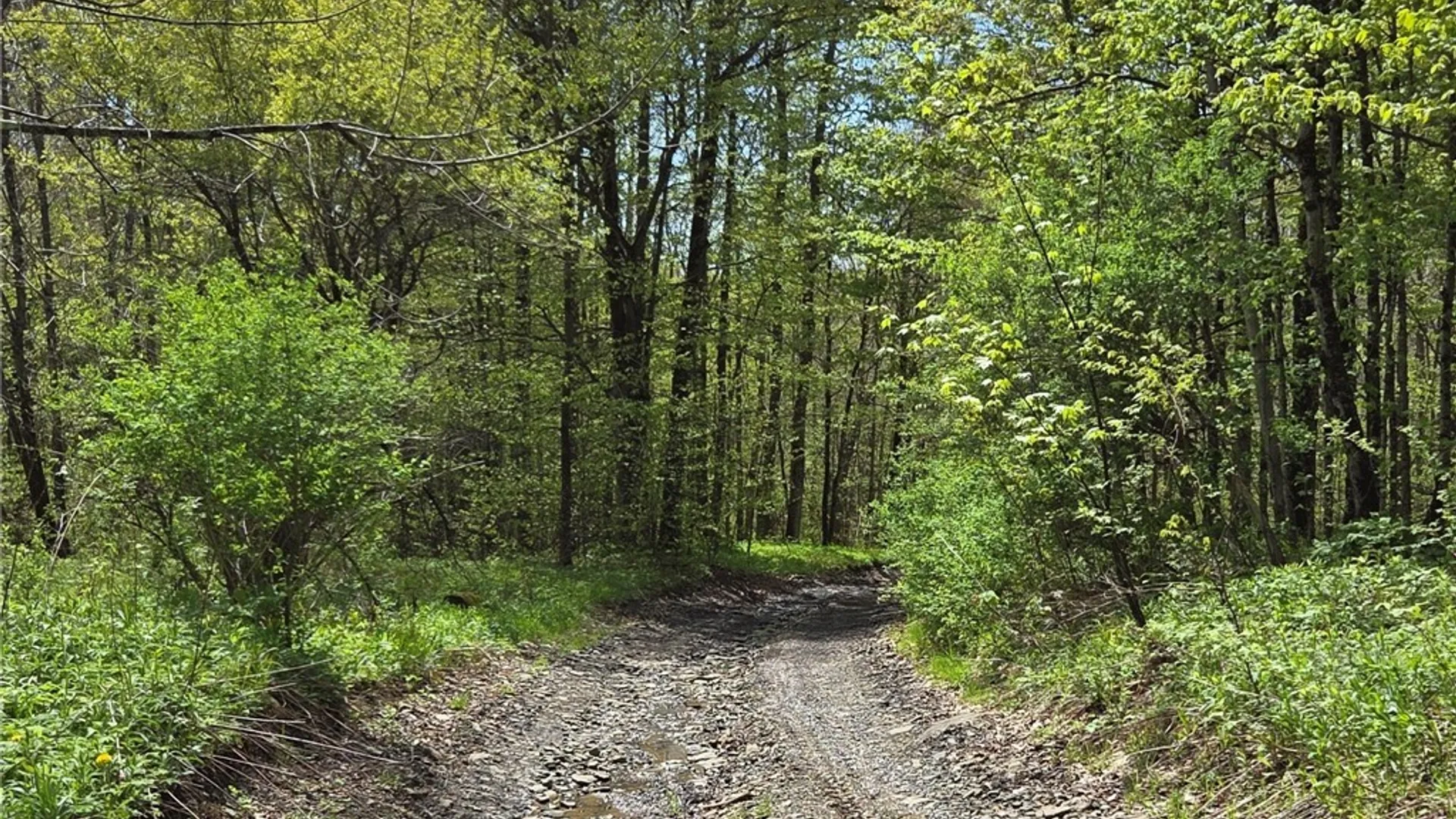 Property at Skaneateles Tpke, Brookfield, NY 13355 22