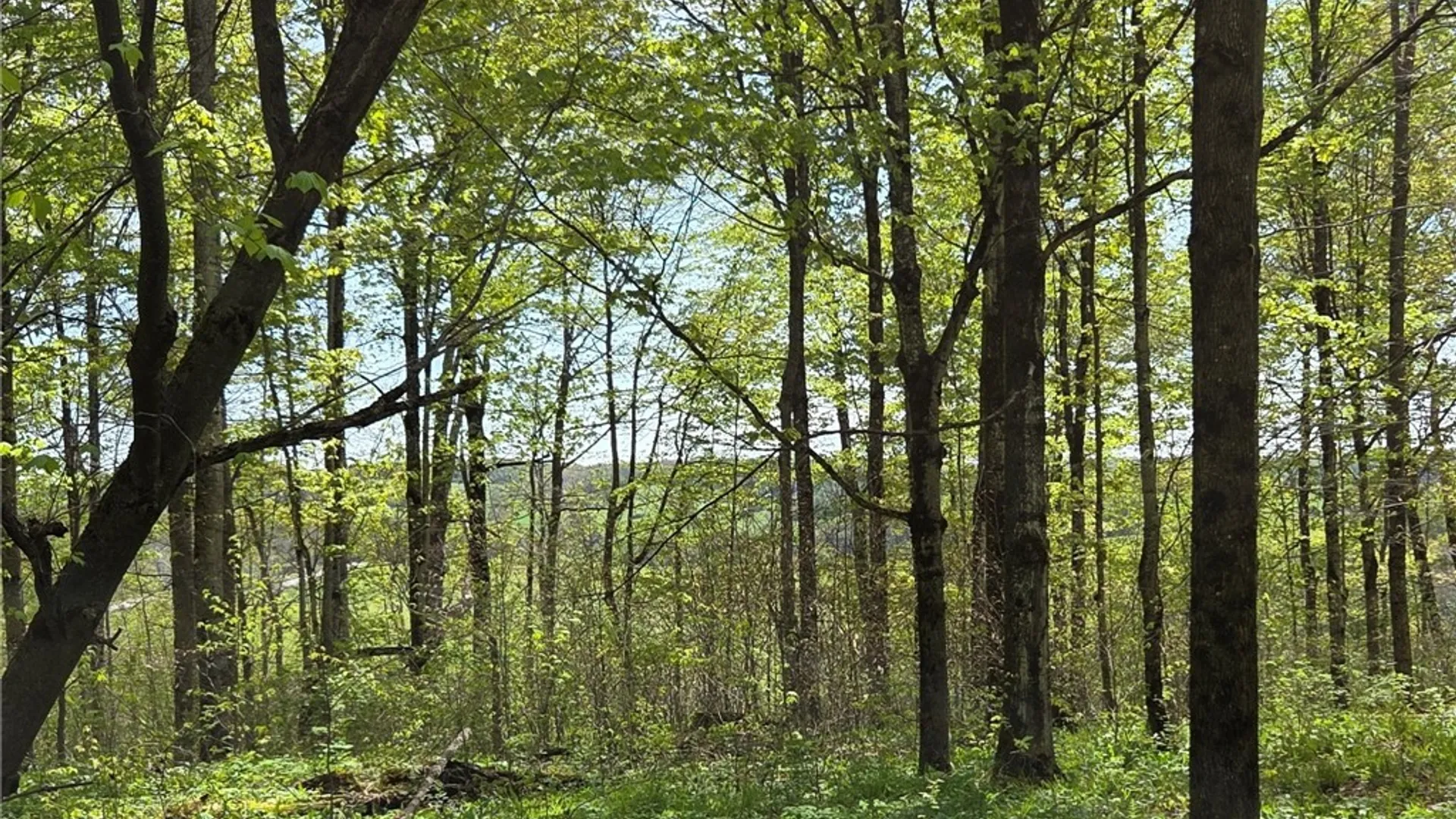 Property at Skaneateles Tpke, Brookfield, NY 13355 23