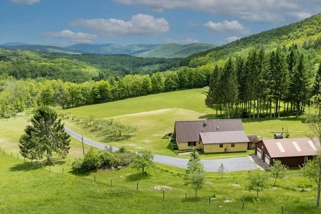 Property at 2607 Lower Dingle Hill Road, Andes, NY 13731