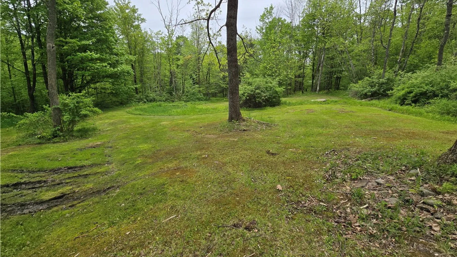 Property at 187 Tower Lane, Tompkins, NY 13856 9