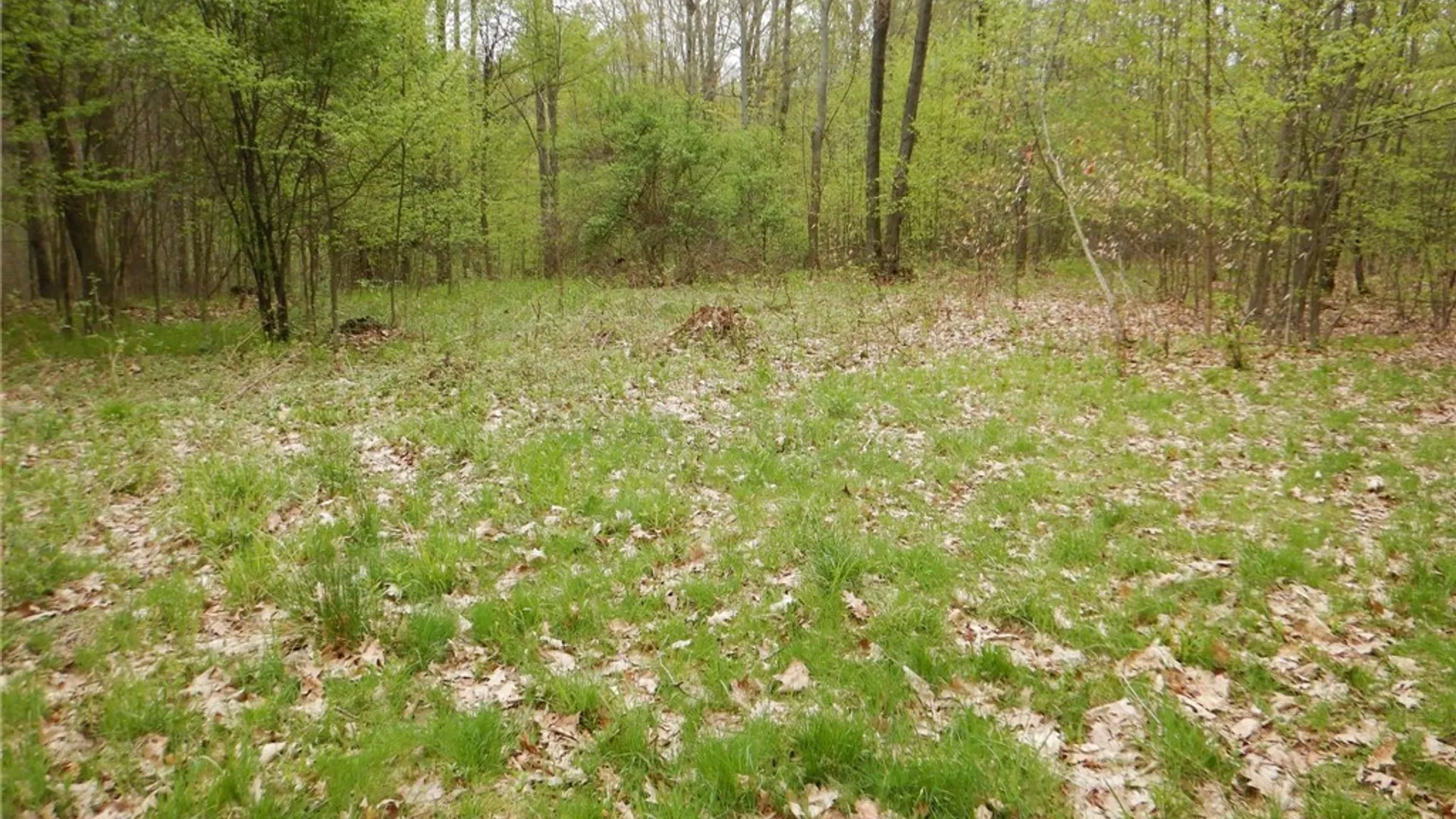 Property at Wightman Rd., Wellsville, NY 14895 12
