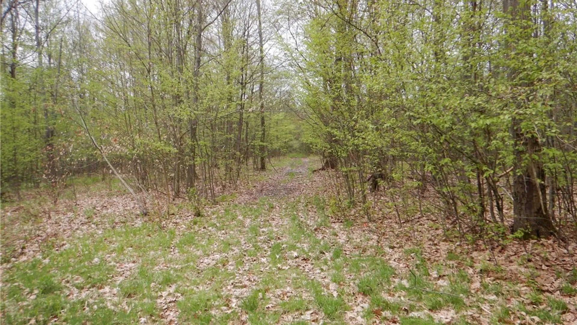 Property at Wightman Rd., Wellsville, NY 14895 13