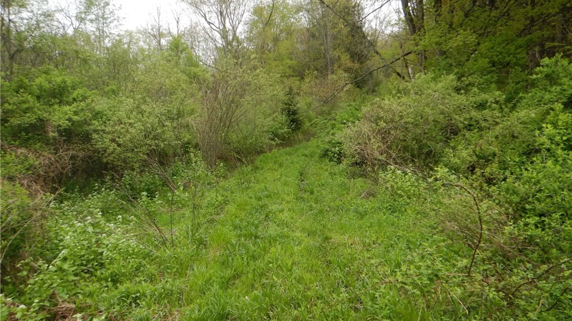 Property at Wightman Rd., Wellsville, NY 14895 15