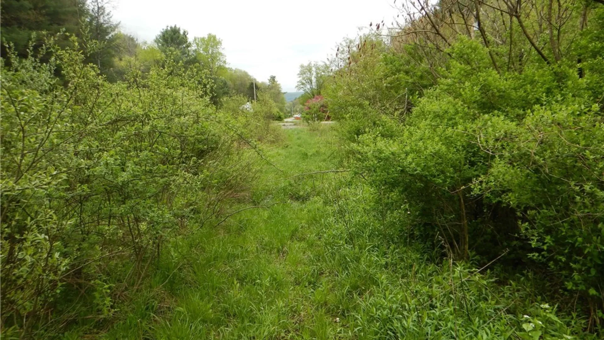 Property at Wightman Rd., Wellsville, NY 14895 16