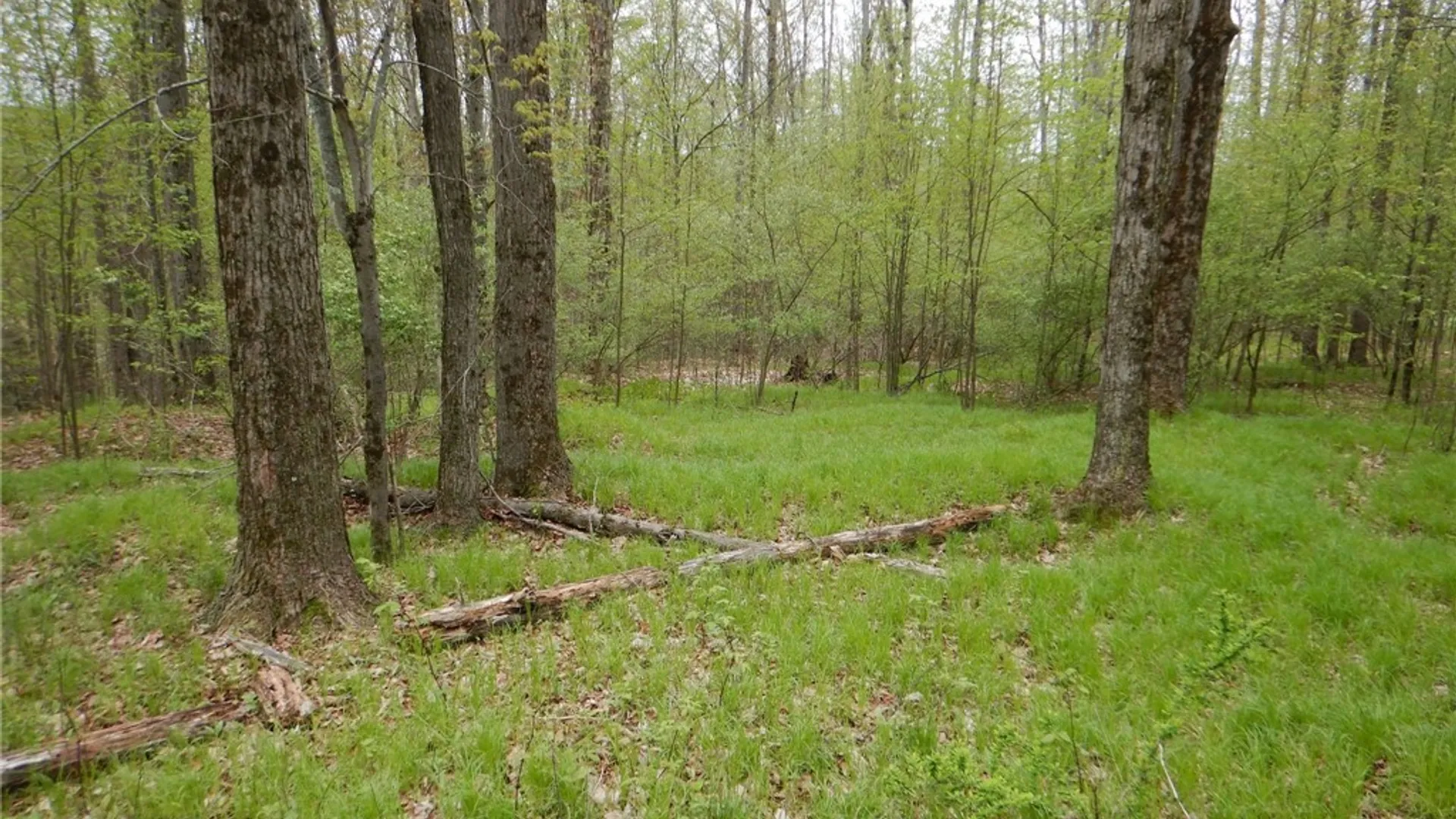 Property at Wightman Rd., Wellsville, NY 14895 21