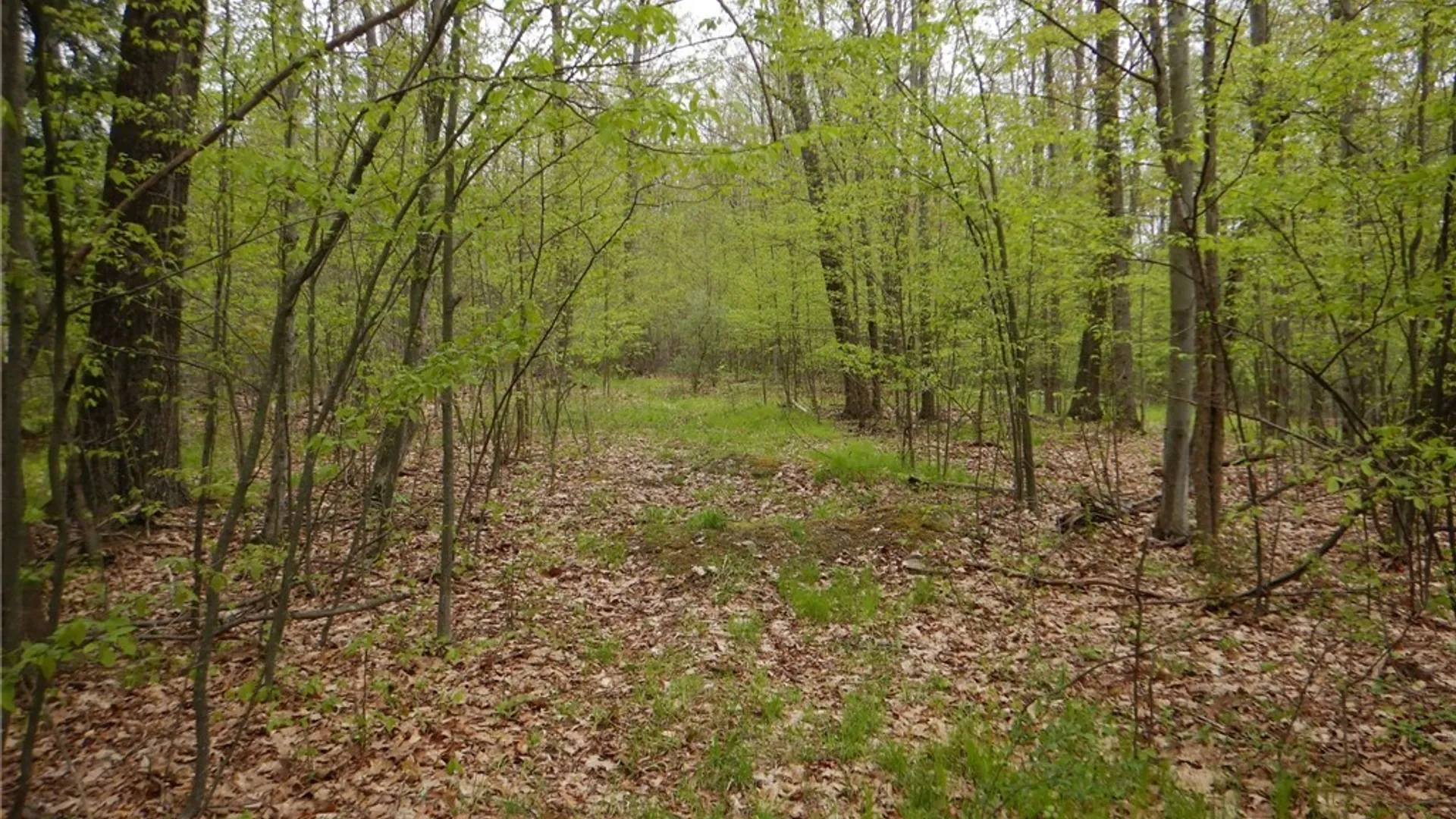 Property at Wightman Rd., Wellsville, NY 14895 22