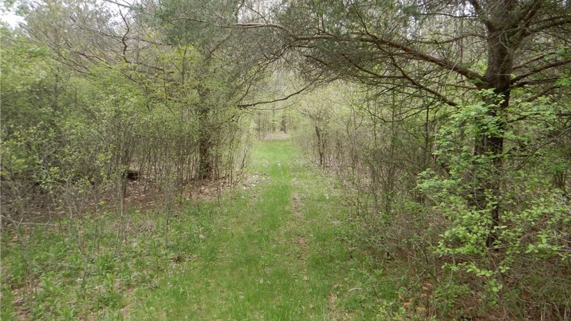 Property at Wightman Rd., Wellsville, NY 14895 27