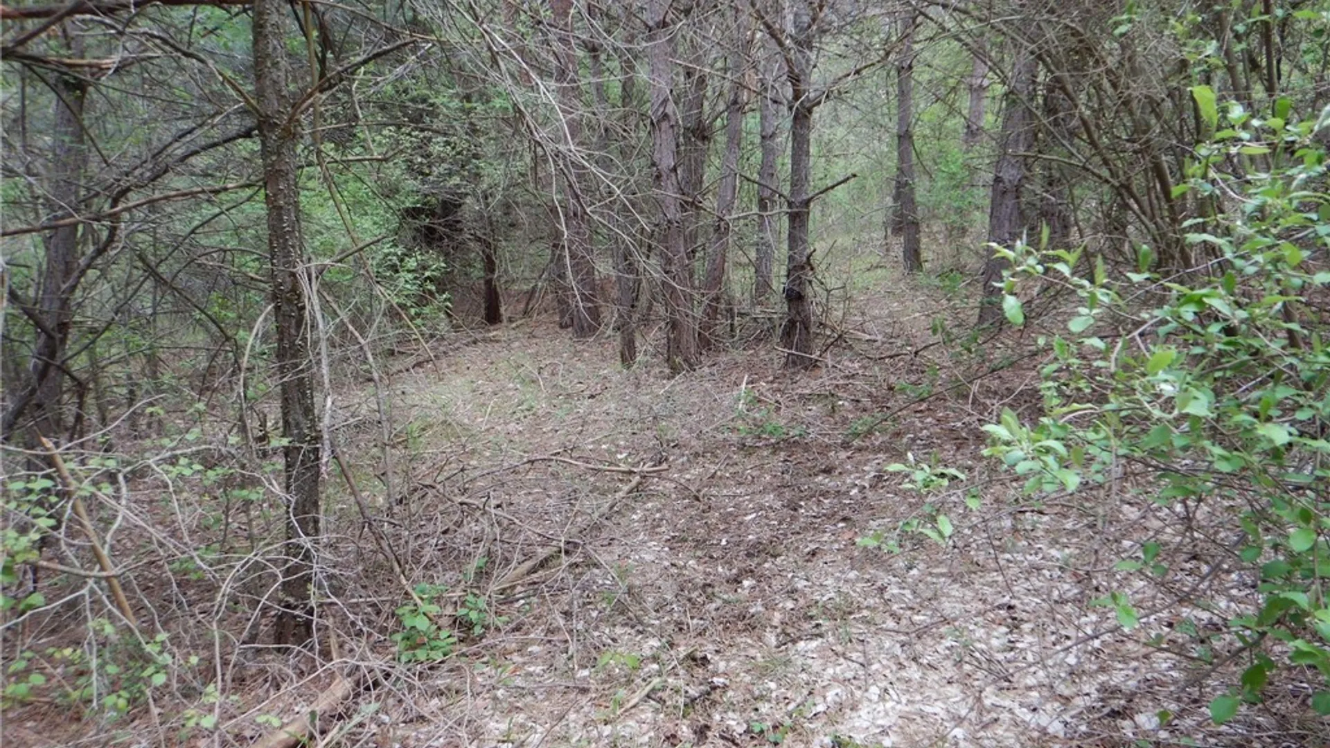 Property at Wightman Rd., Wellsville, NY 14895 29