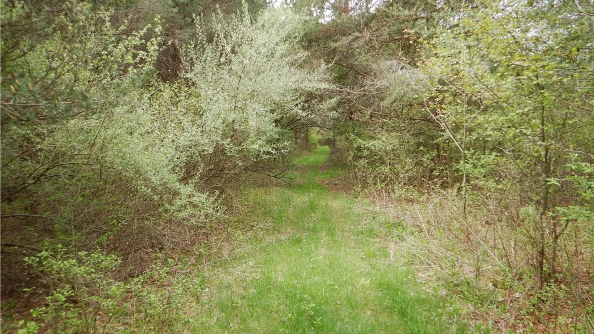 Property at Wightman Rd., Wellsville, NY 14895 37