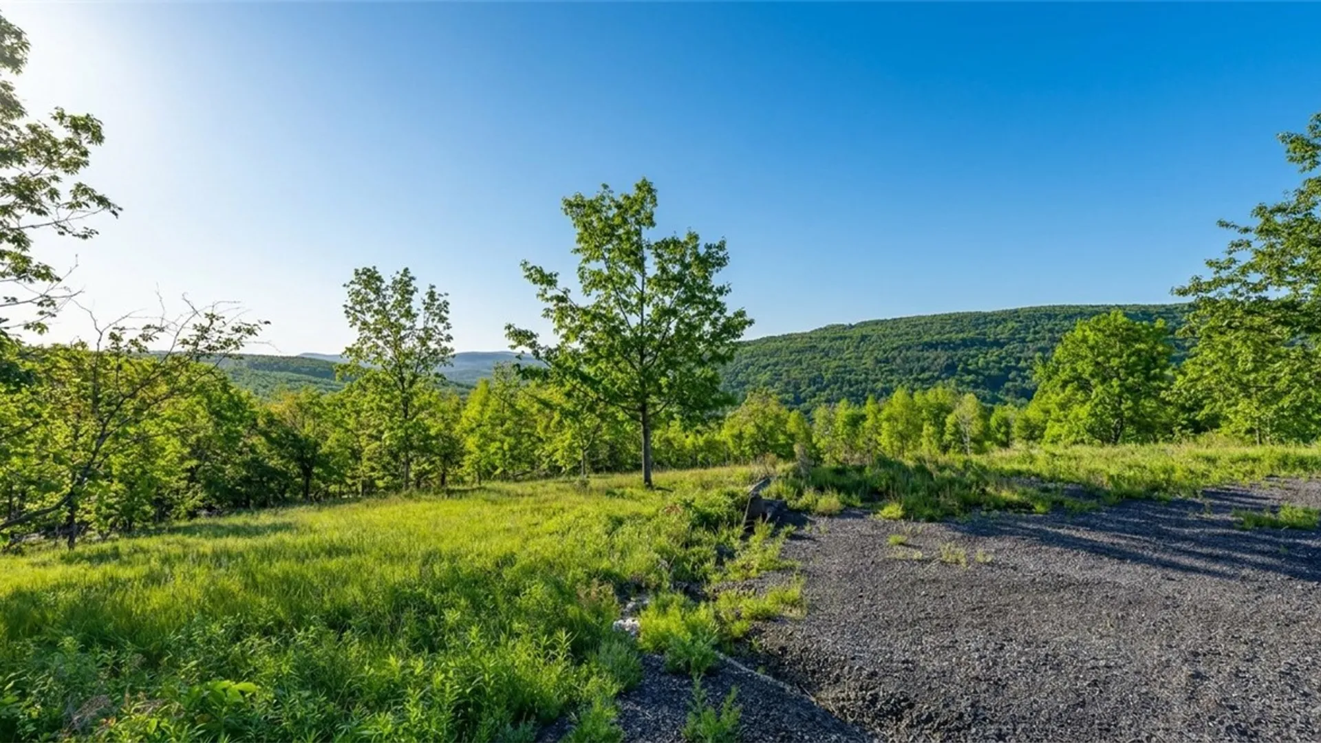 Property at 10.10 Cheese Hill Road, Rensselaerville, NY 12147 8